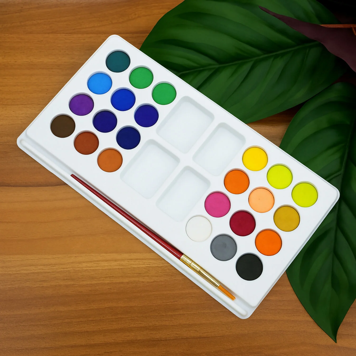 Camel Water Colour Cakes – 24 Bright Shades with Brush - Image 6