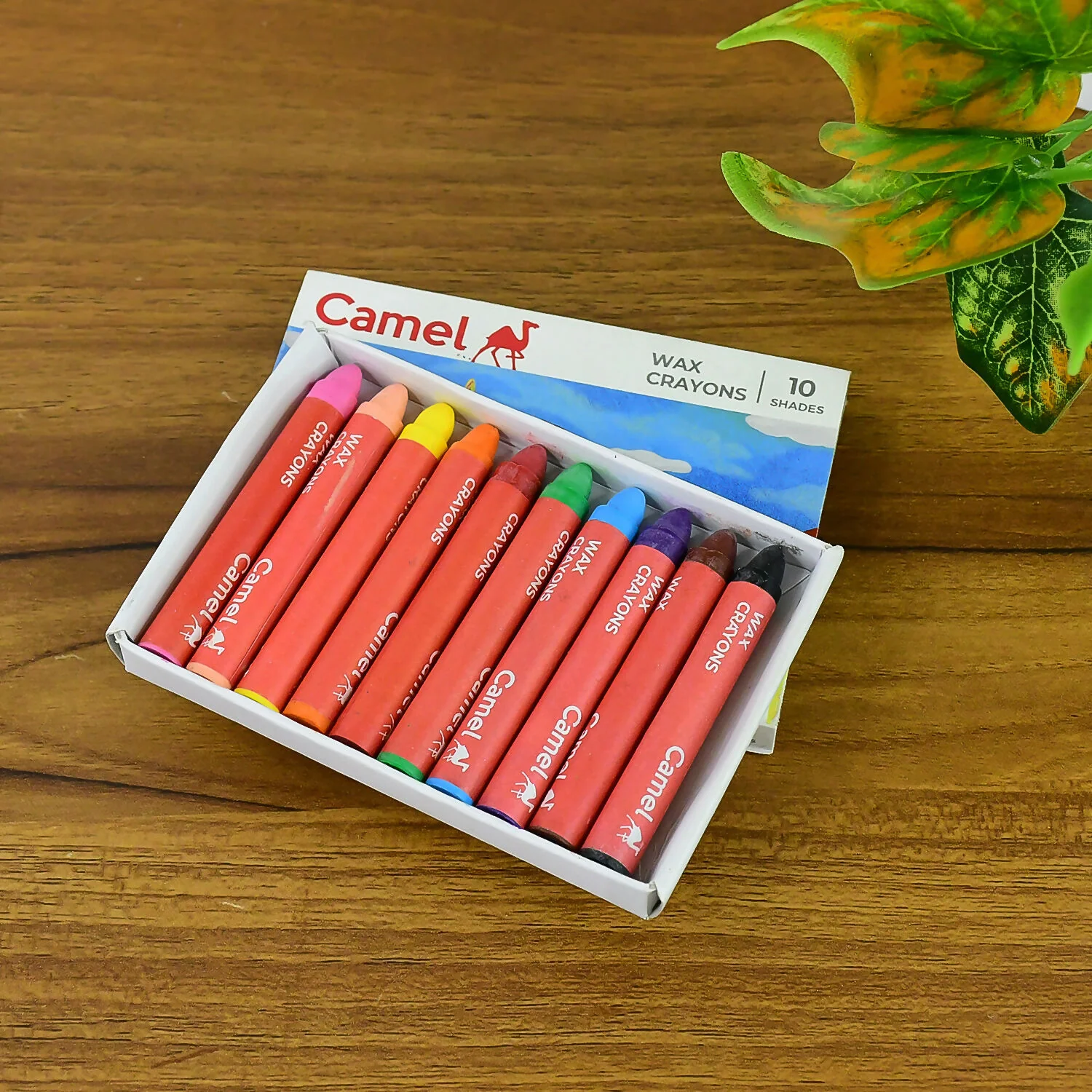 Camel Wax Smooth Crayons - 10 Shades - Image 2