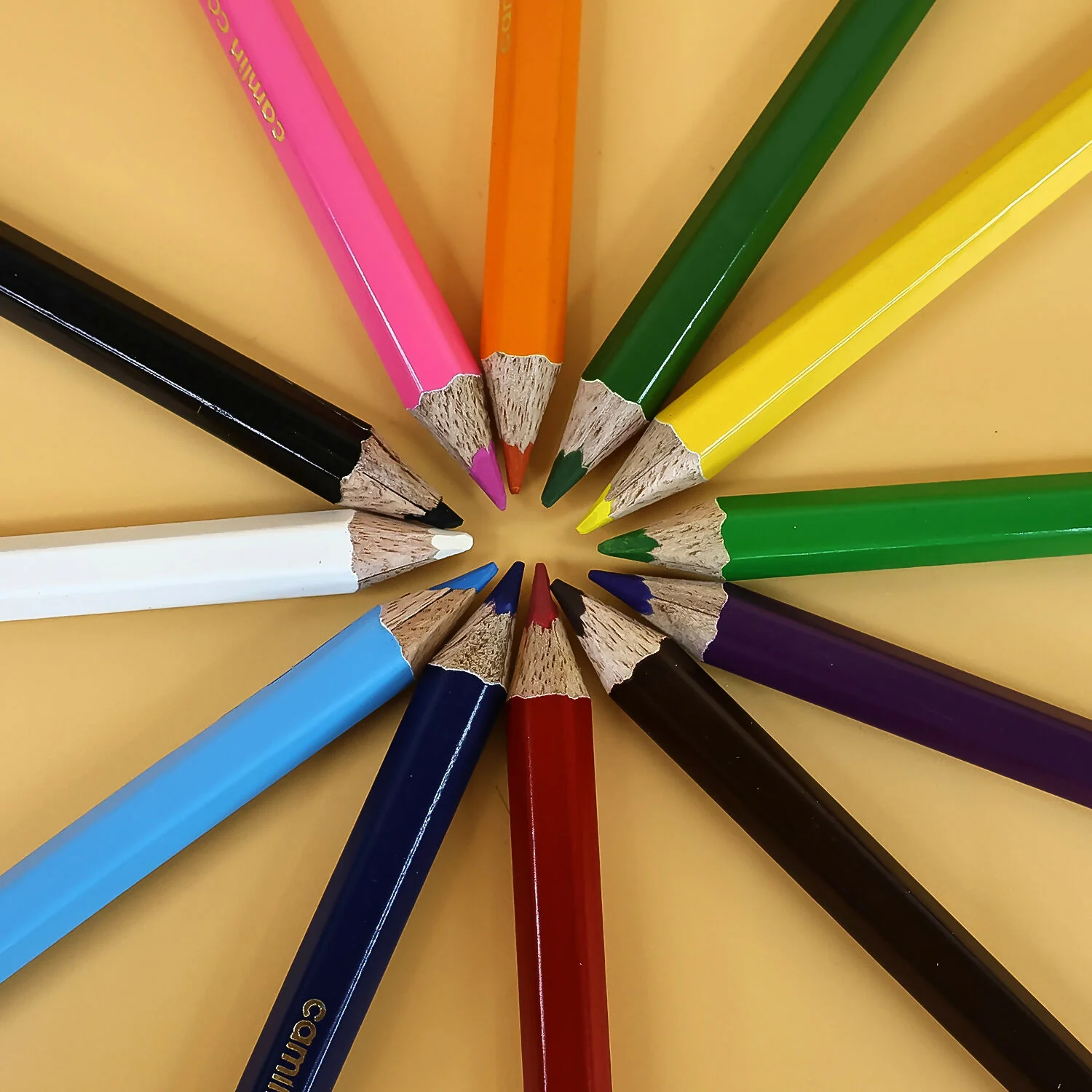 Camlin Colour Pencils – 12 Assorted Shades Smooth Blending, Bright Colours & Free - Image 2