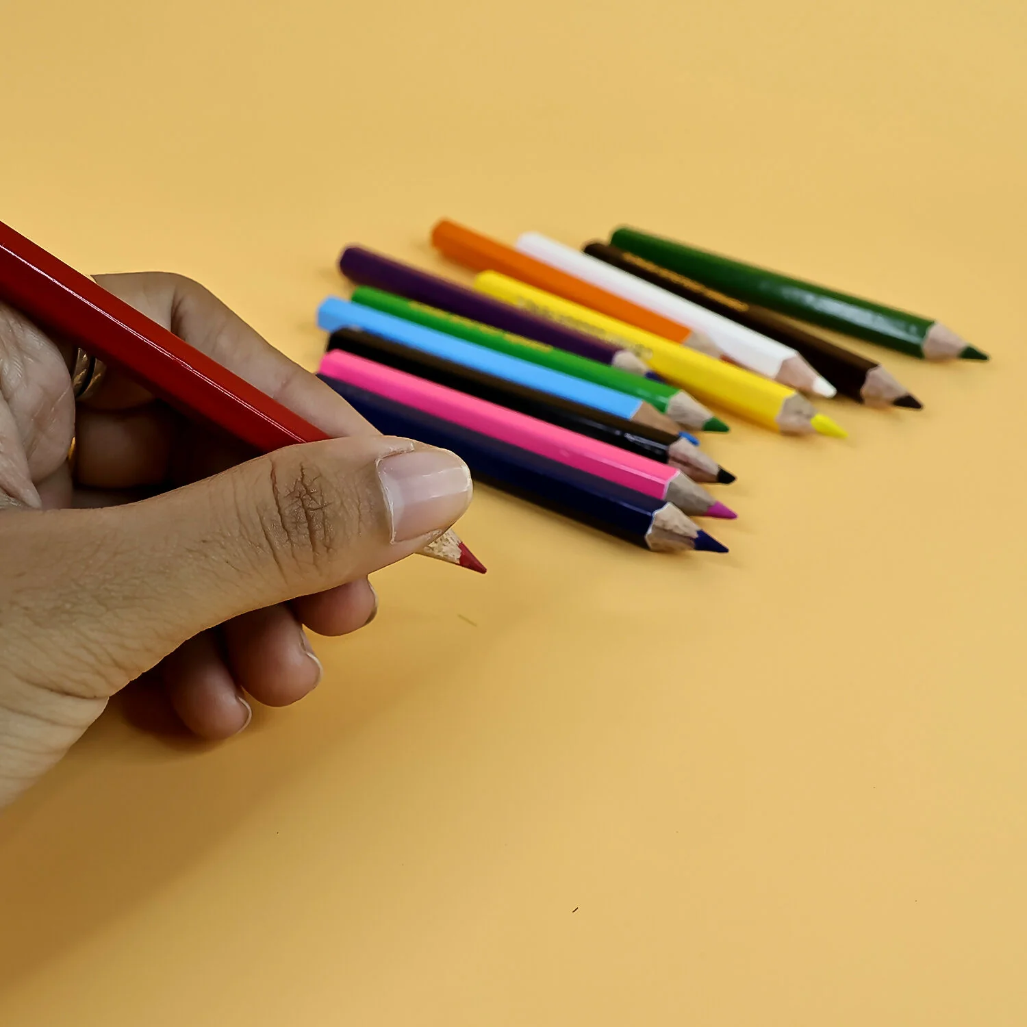 Camlin Colour Pencils – 12 Assorted Shades Smooth Blending, Bright Colours & Free - Image 3
