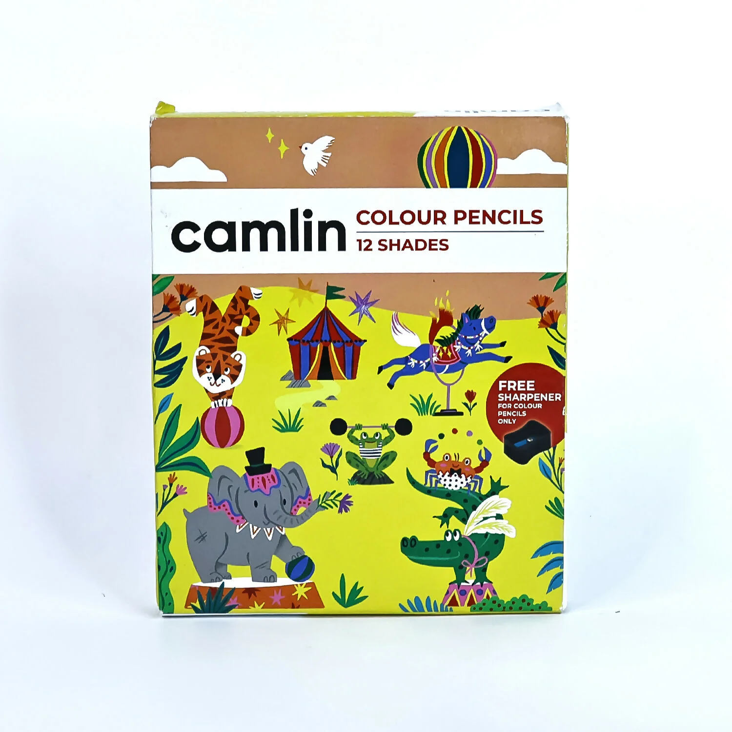 Camlin Colour Pencils – 12 Assorted Shades Smooth Blending, Bright Colours & Free - Image 4