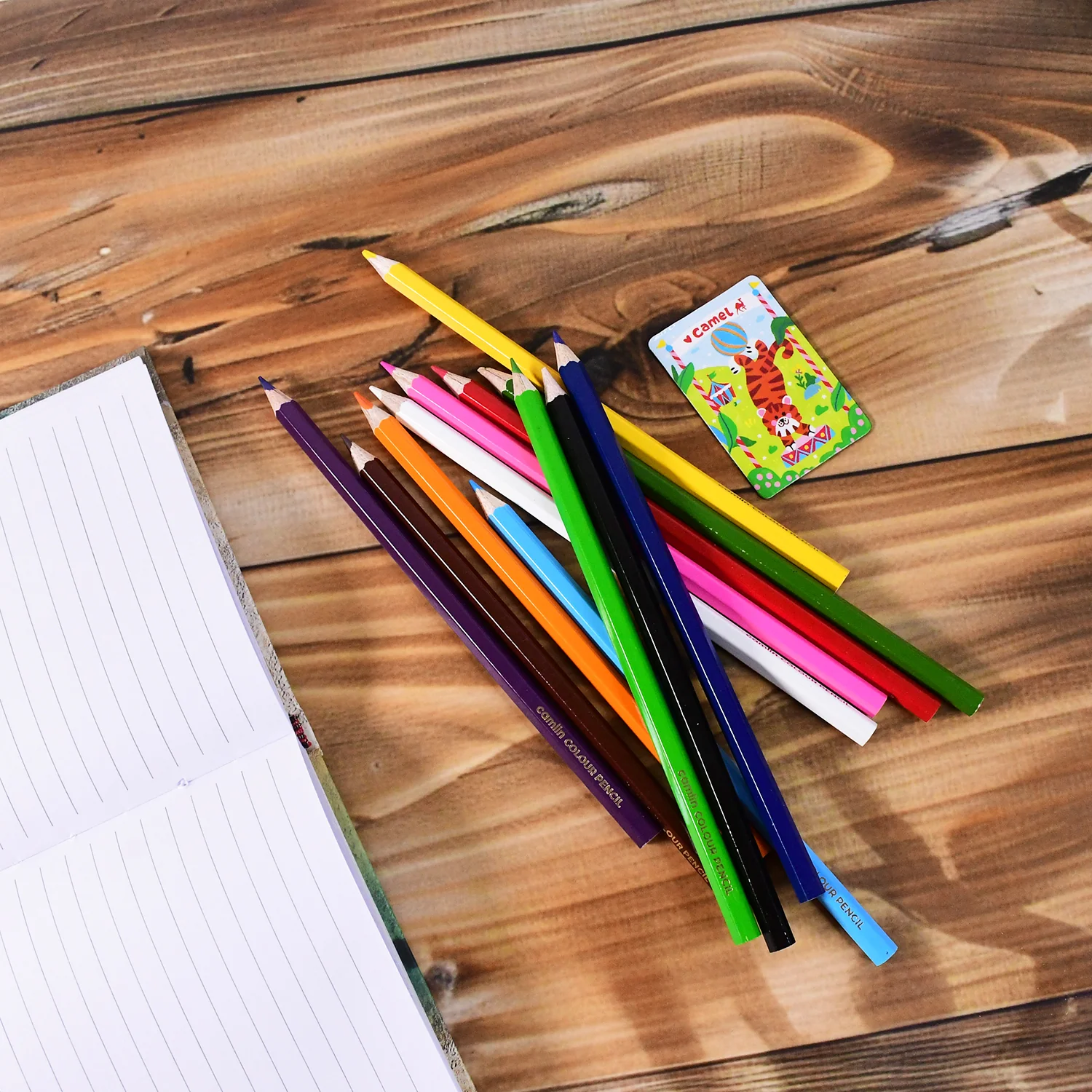 Camlin Colour Pencils – Set of 12 Vibrant Shades with Free Sharpener - Image 7
