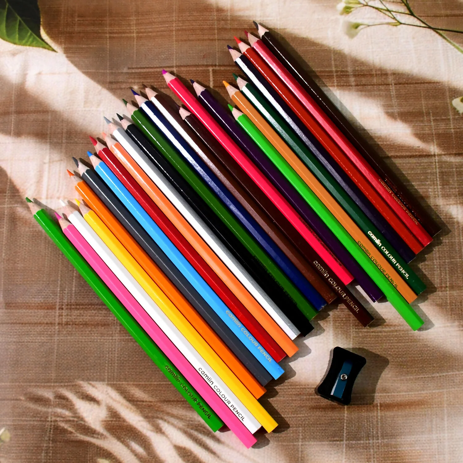 Camlin Colour Pencils – 24 Shades Pack with Free Sharpener - Image 3