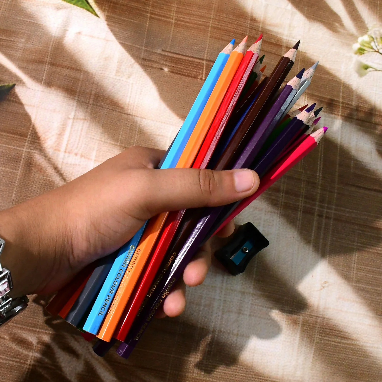 Camlin Colour Pencils – 24 Shades Pack with Free Sharpener - Image 5