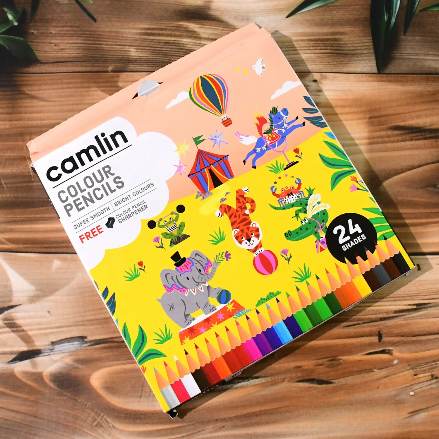 Camlin Colour Pencils – 24 Shades Pack with Free Sharpener - Image 7