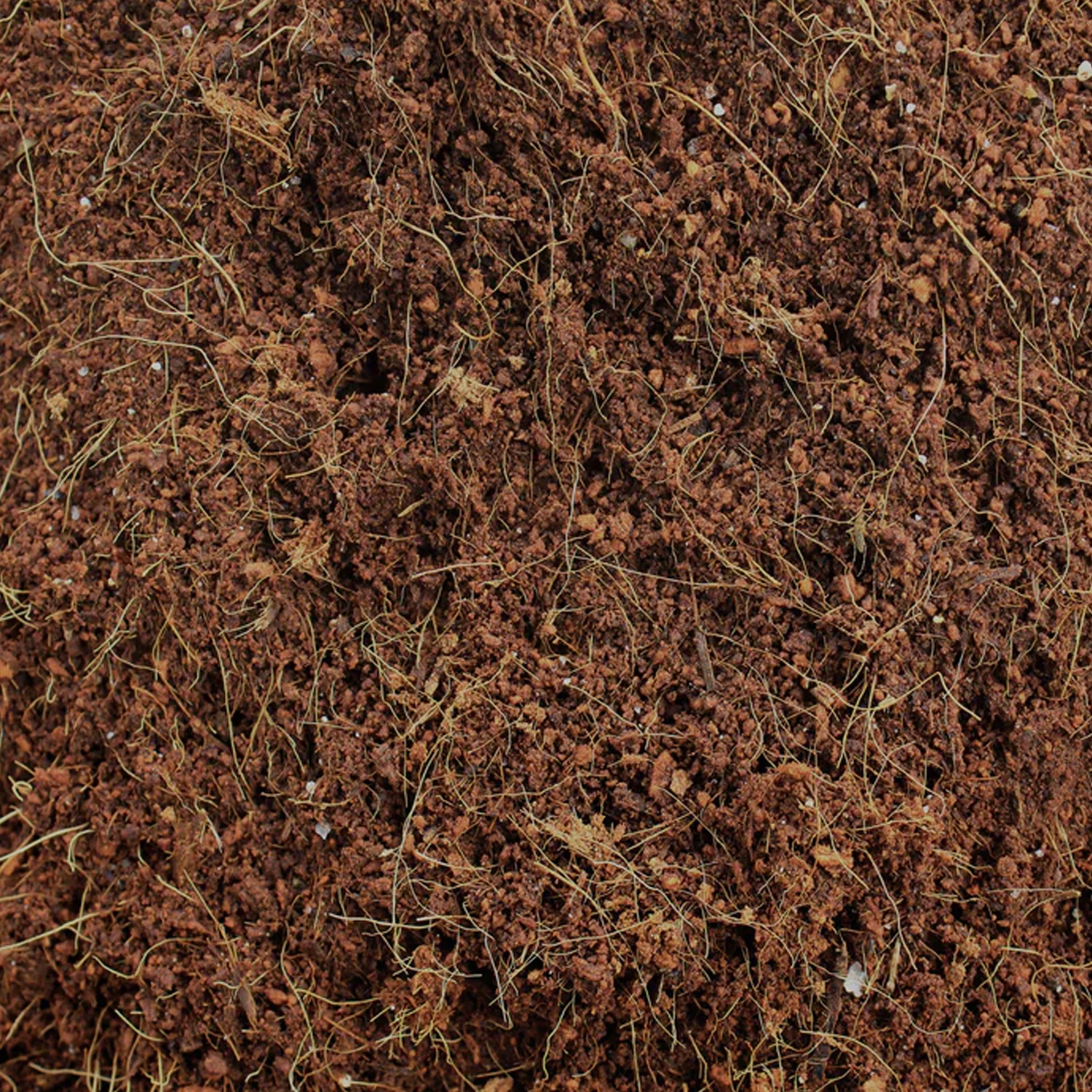 Cocopeat Block Organic Fertilizer & Potting Mixture for Home Gardening (1 KG) - Image 6