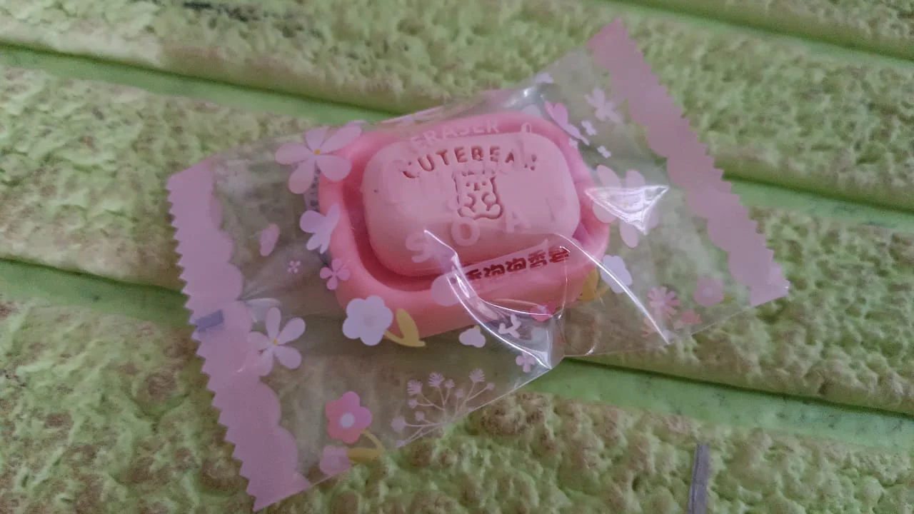Cute Soap Shaped Erasers With Plastic Case (1 Pc / With Case) - Image 7