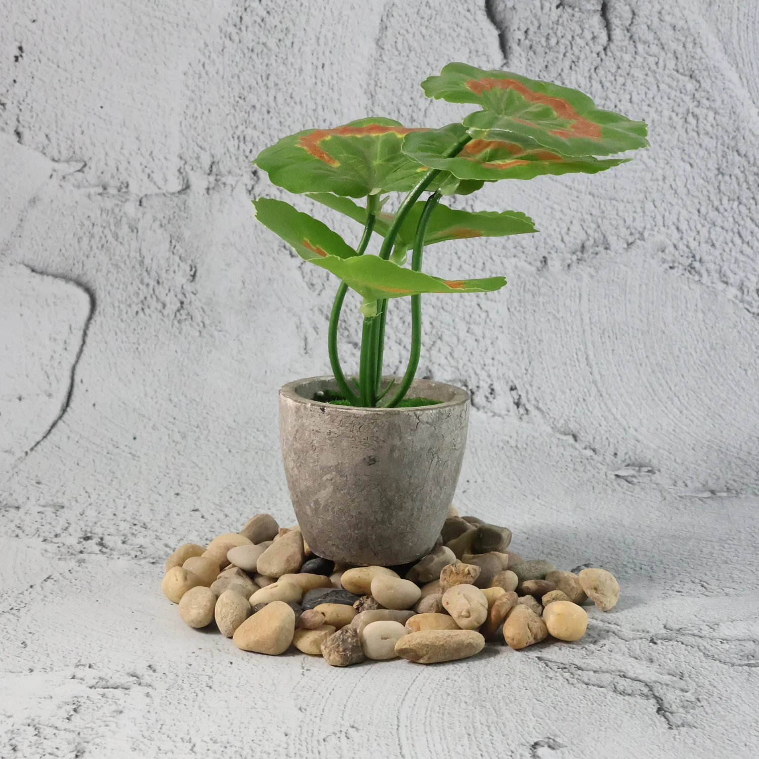 Decorative River Rock Stones (1 Set) - Image 4