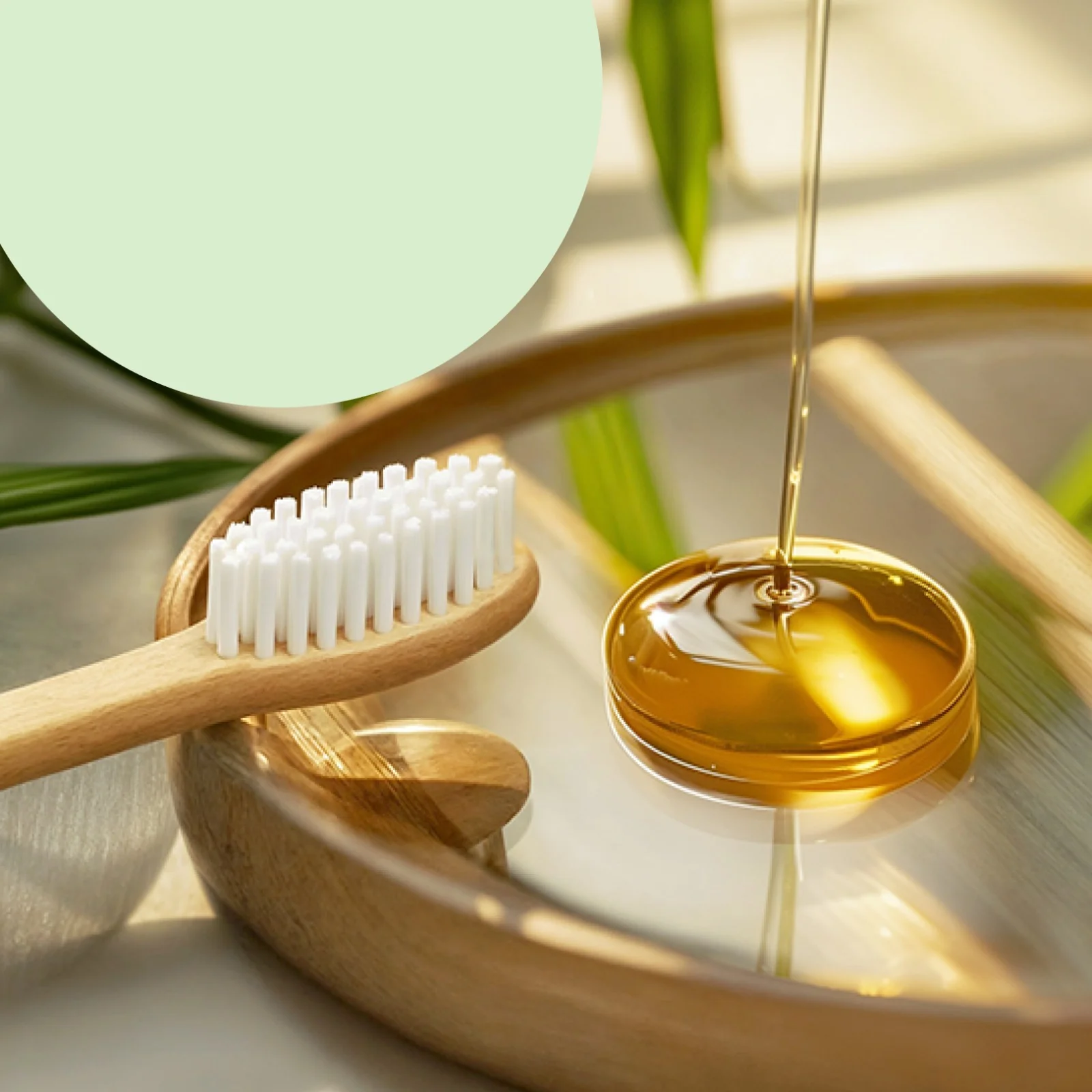 Eco-Friendly Natural Bamboo Toothbrush with Medium Bristles (2 Pc) - Image 2
