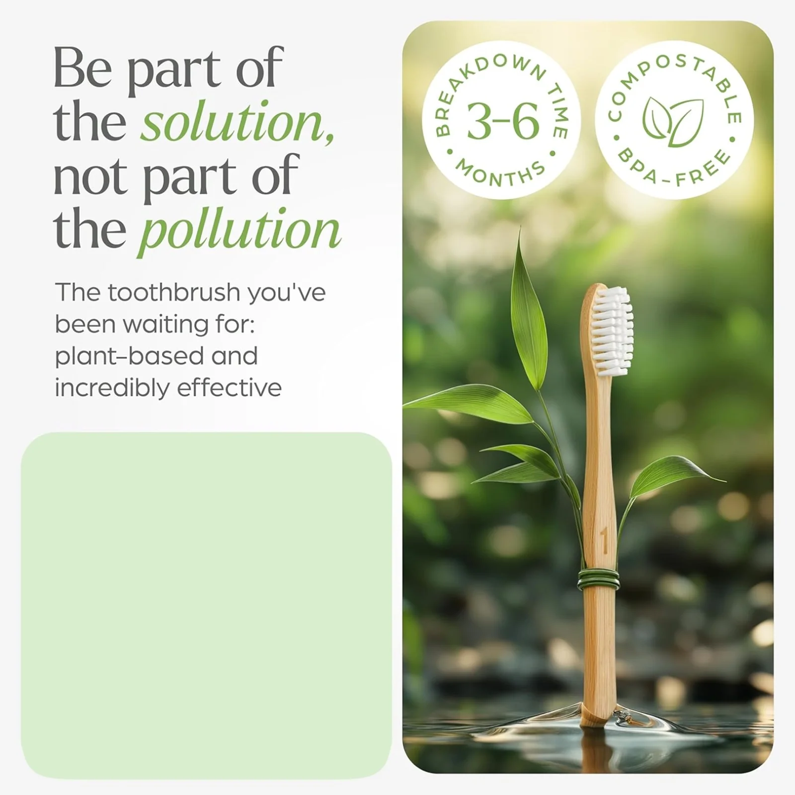 Eco-Friendly Natural Bamboo Toothbrush with Medium Bristles (2 Pc) - Image 4
