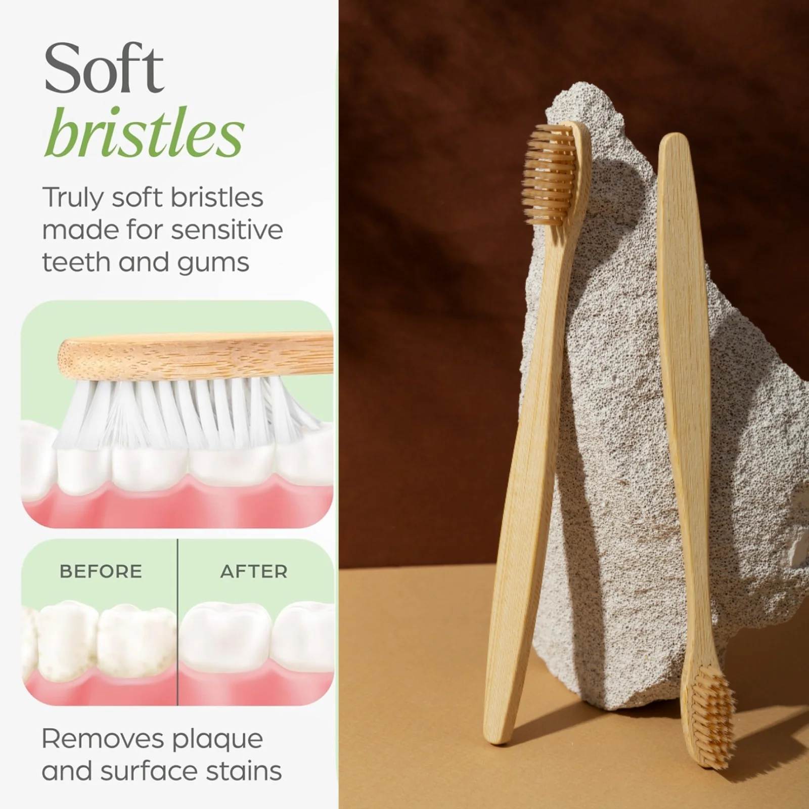 Eco-Friendly Natural Bamboo Toothbrush with Medium Bristles (2 Pc) - Image 5