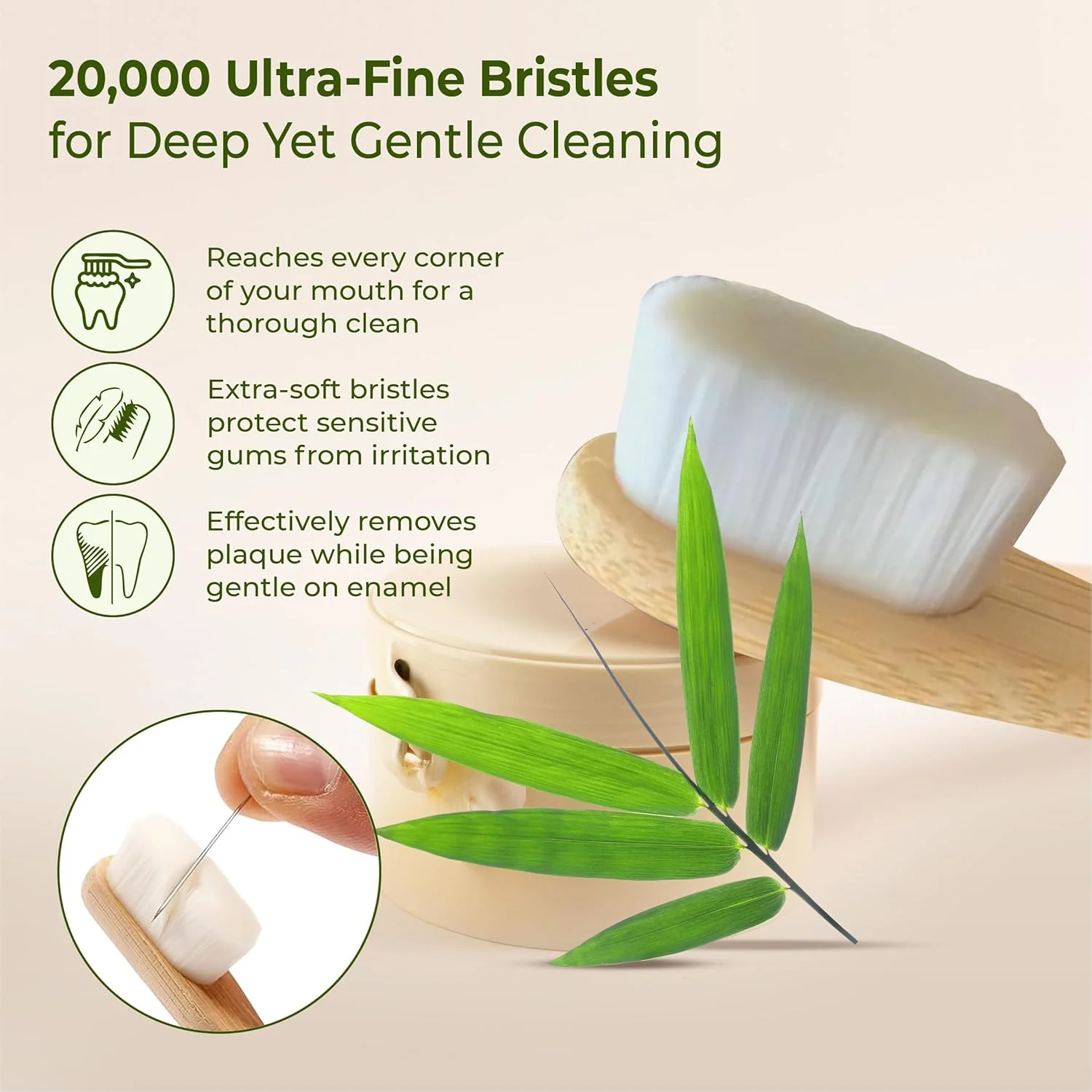 Eco Friendly Wooden Bamboo Toothbrush with Protective Travel Case 1 Pc - Image 3