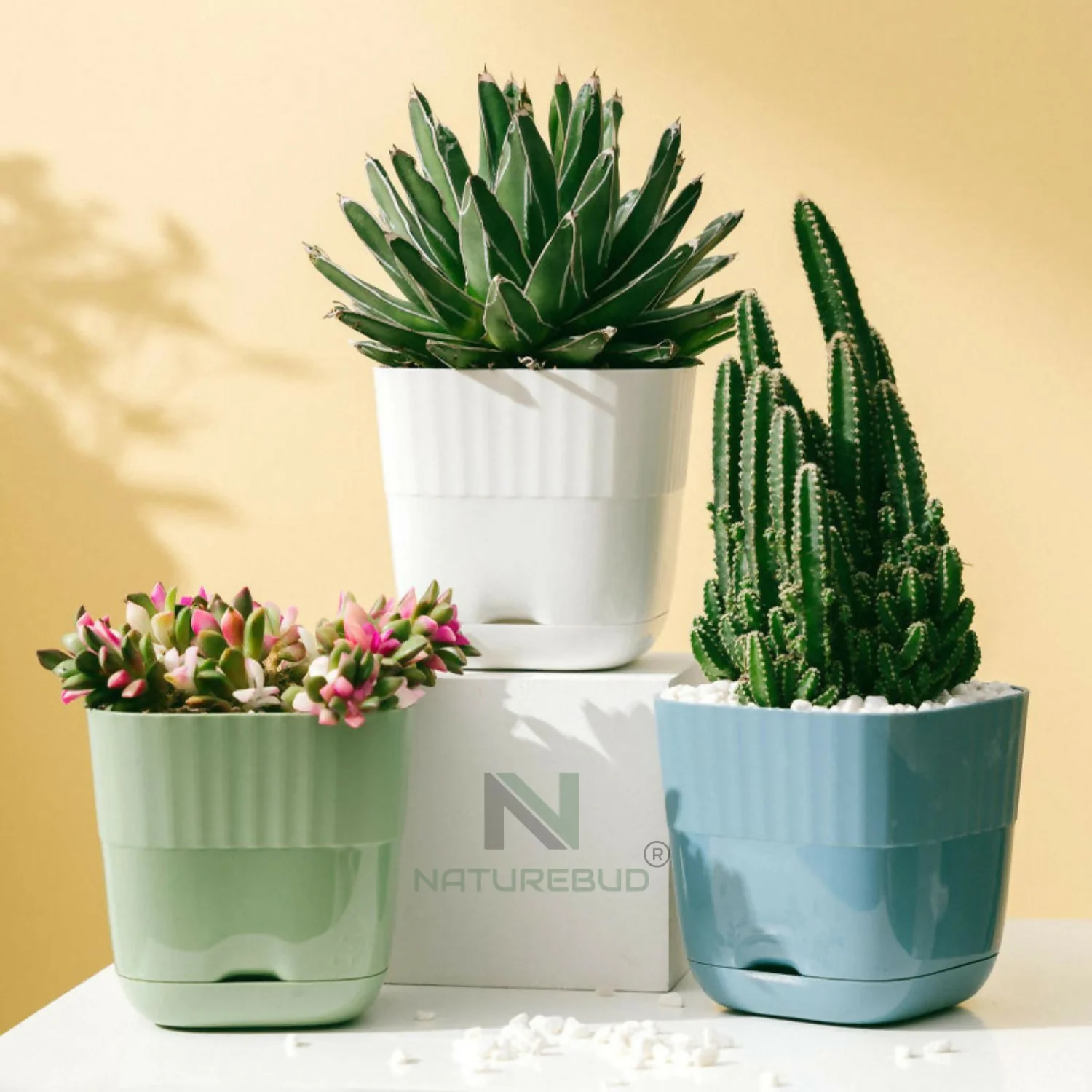 ELITEGROW SQUARE FLOWER POT (PACK OF 5) - Image 5