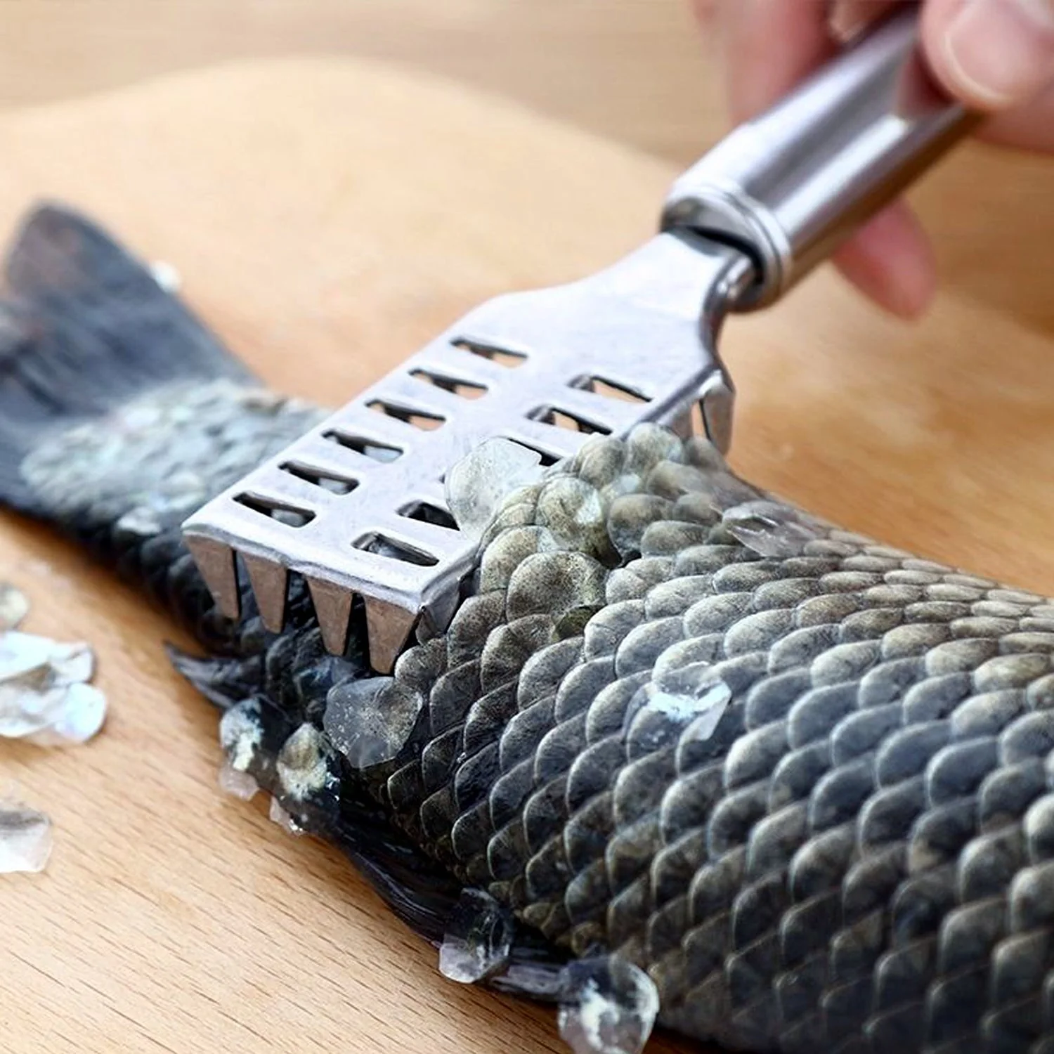 Stainless Steel Fish Scale Remover Scraper – Sawtooth Kitchen Tool - Image 6