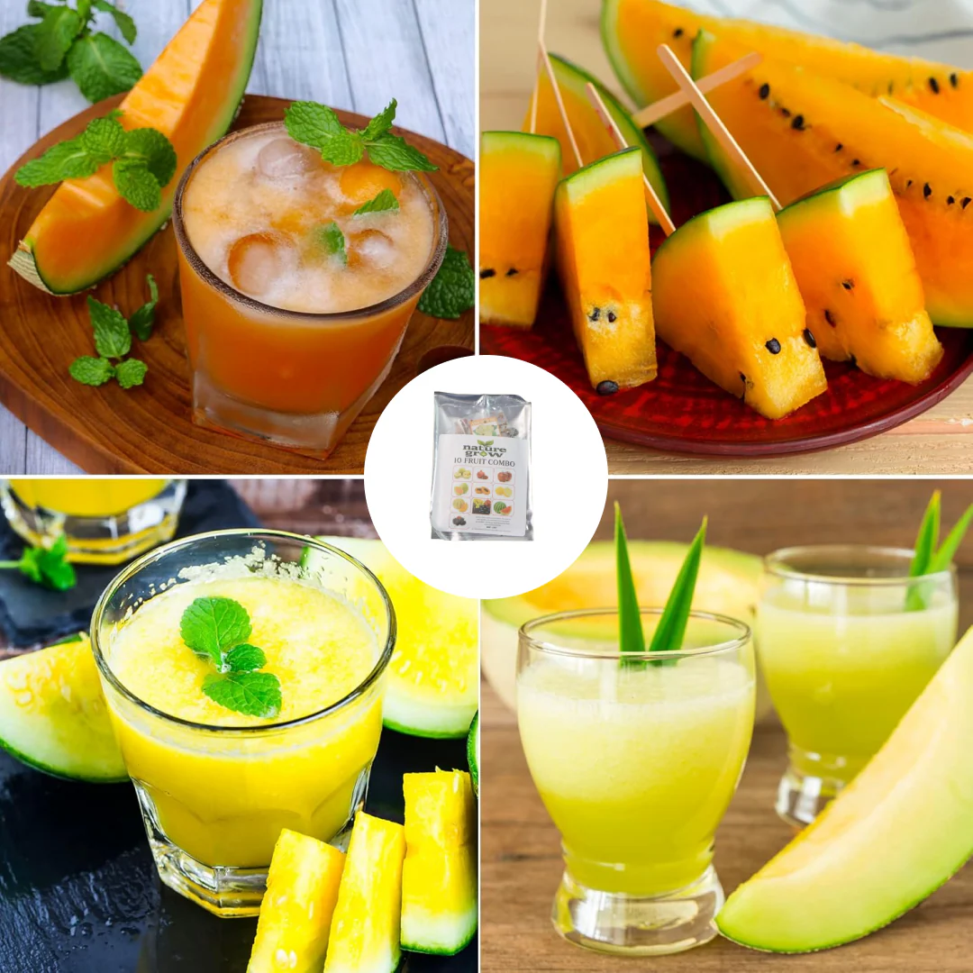 Fruit Seeds Combo Pack - (10 Pc / Set) - Image 4