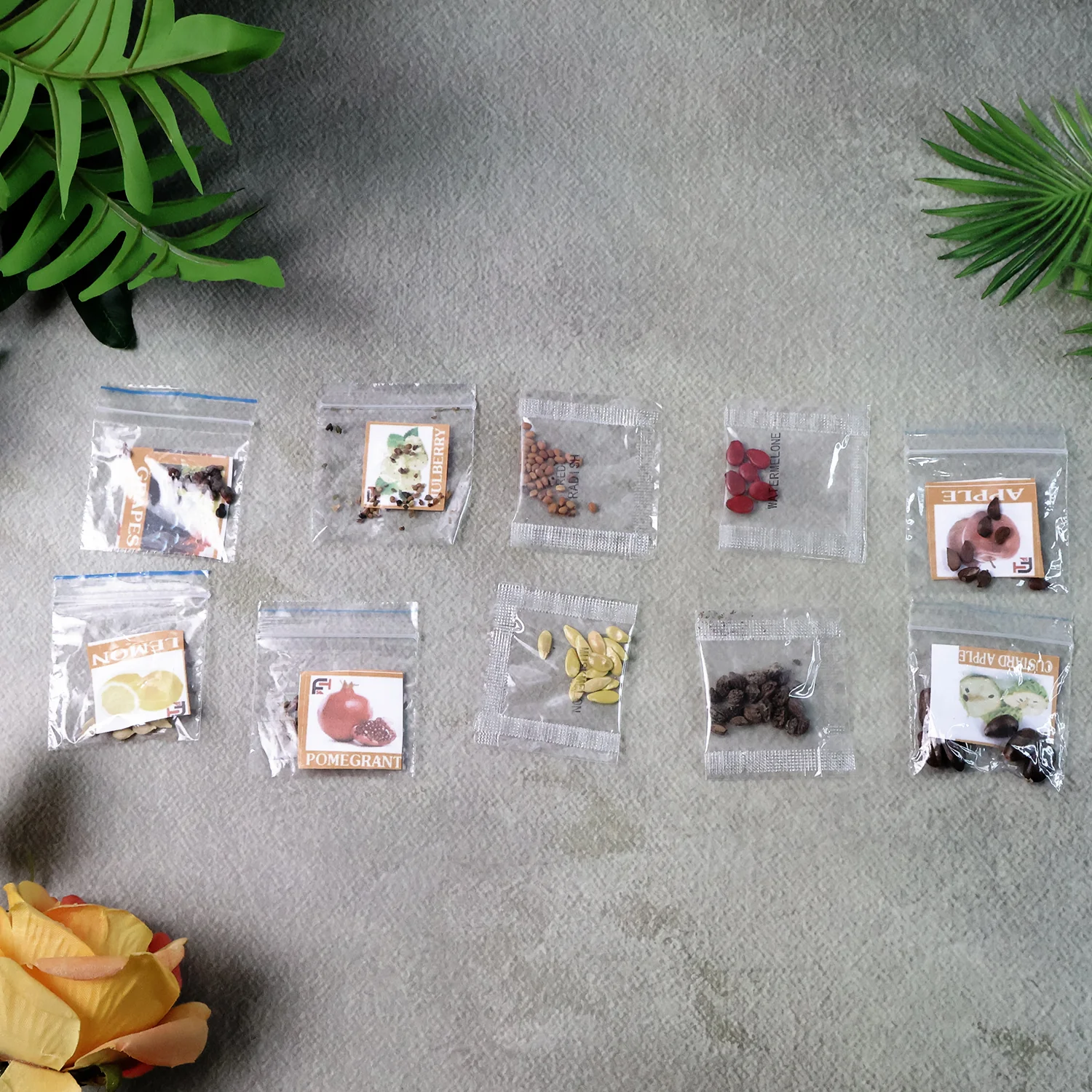 Fruit Seeds Combo Pack - (10 Pc / Set) - Image 8