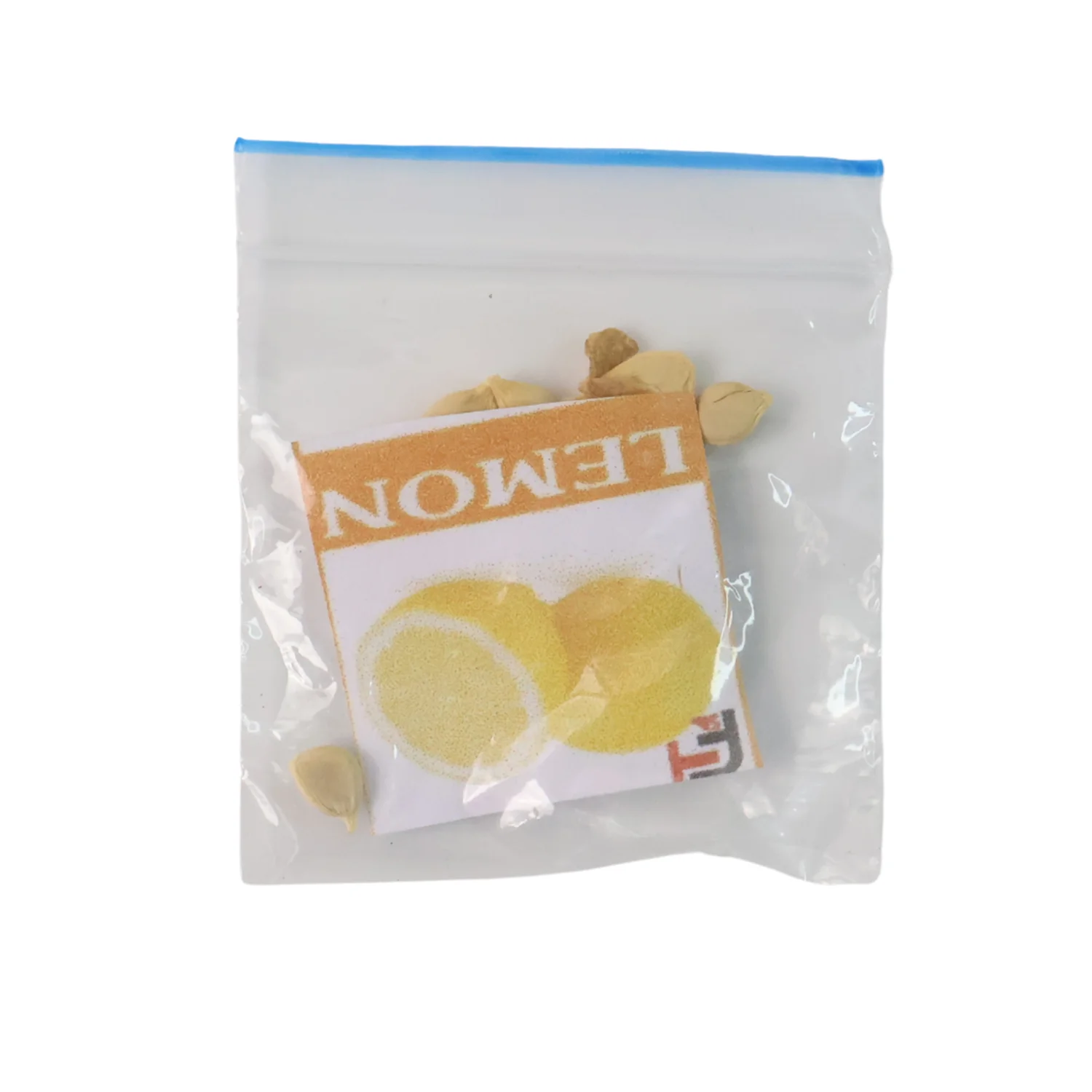 Fruit Seeds Combo Pack - (10 Pc / Set) - Image 9