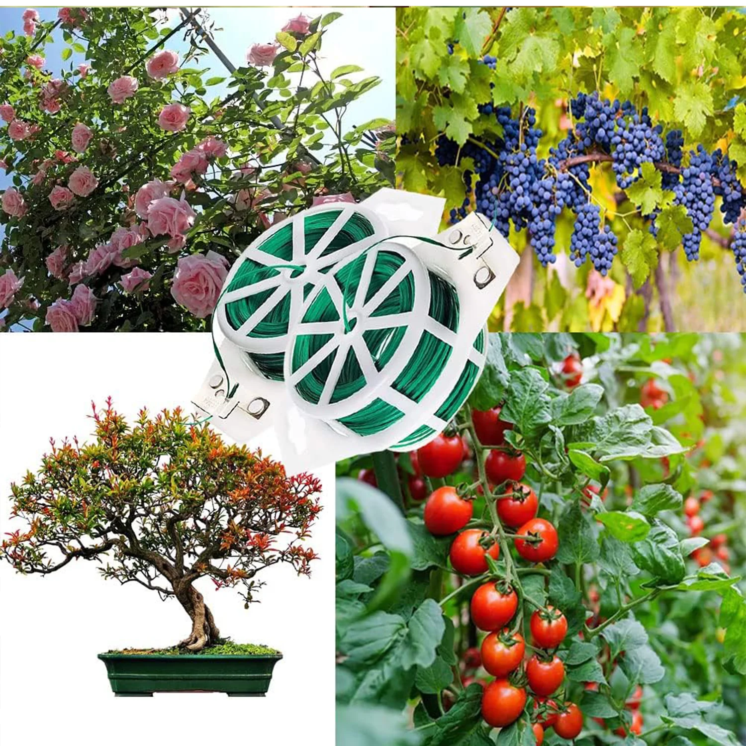 Garden Wire, Sturdy Plant Ties for Support, Garden Ties with Cutter (50 Mtr) - Image 5