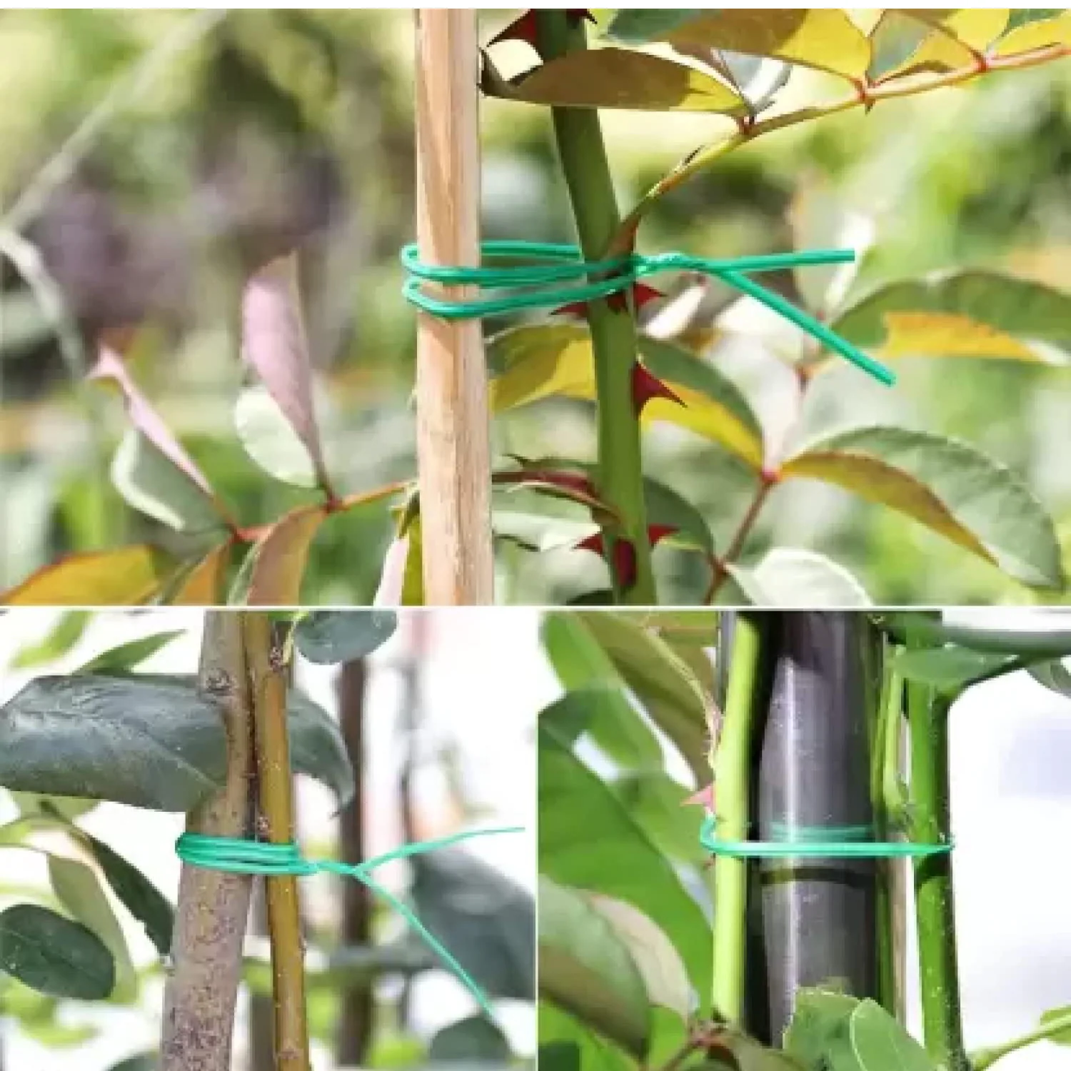Garden Wire, Sturdy Plant Ties for Support, Garden Ties with Cutter (50 Mtr) - Image 6
