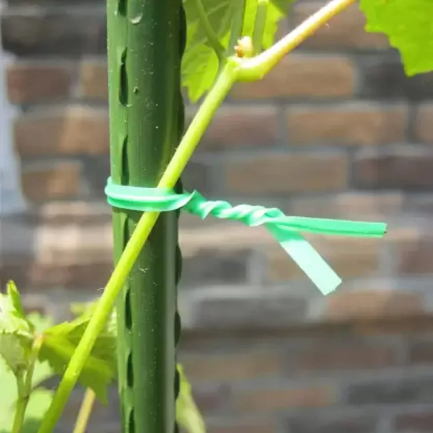 Garden Wire, Sturdy Plant Ties for Support, Garden Ties with Cutter (50 Mtr) - Image 9