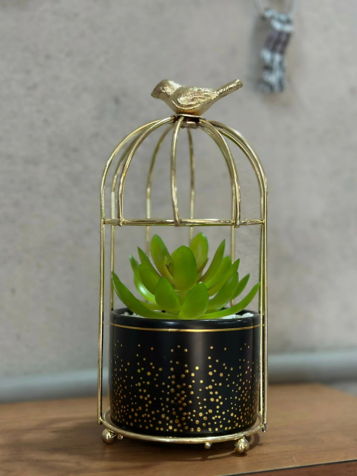 Golden Bird Cage Tabletop Planter with Decorative Pot(Color may vary) - Image 7