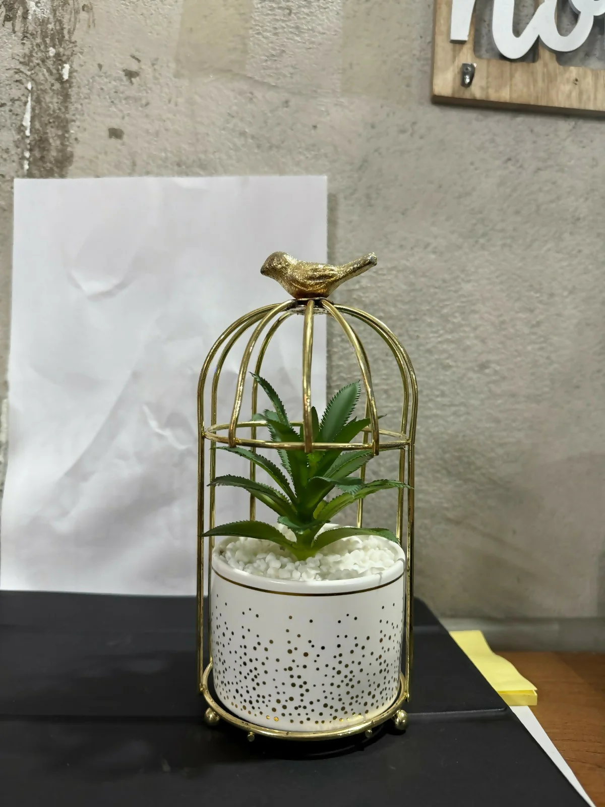 Golden Bird Cage Tabletop Planter with Decorative Pot(Color may vary) - Image 8