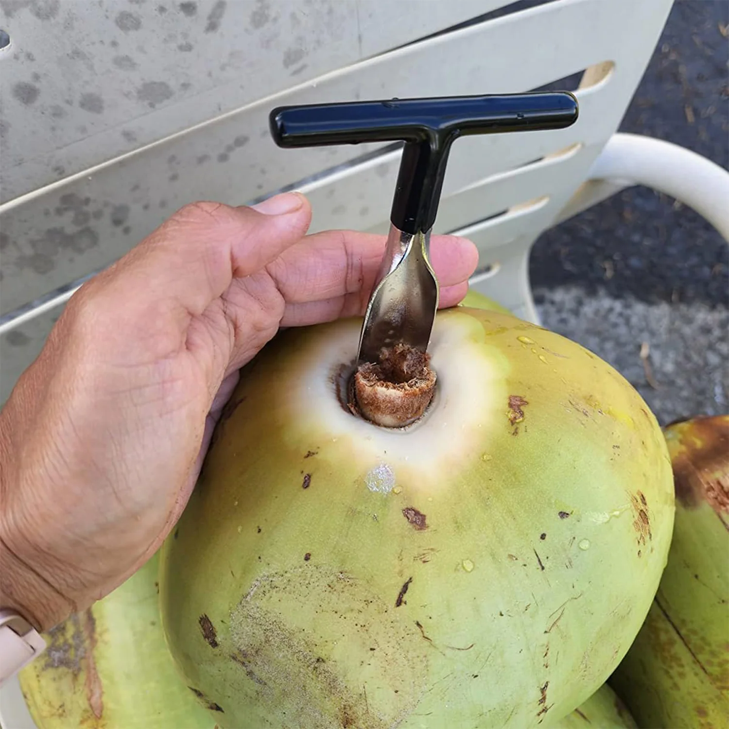 Stainless Steel Coconut Breaker Tool with Comfortable T-Handle (1 Pc) - Image 4