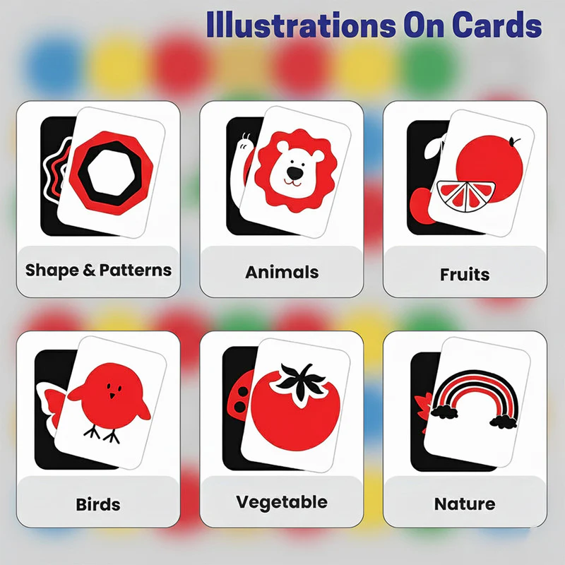 High Contrast Flash Cards for Babies - Shapes, Animals, Fruits, & More - Image 3
