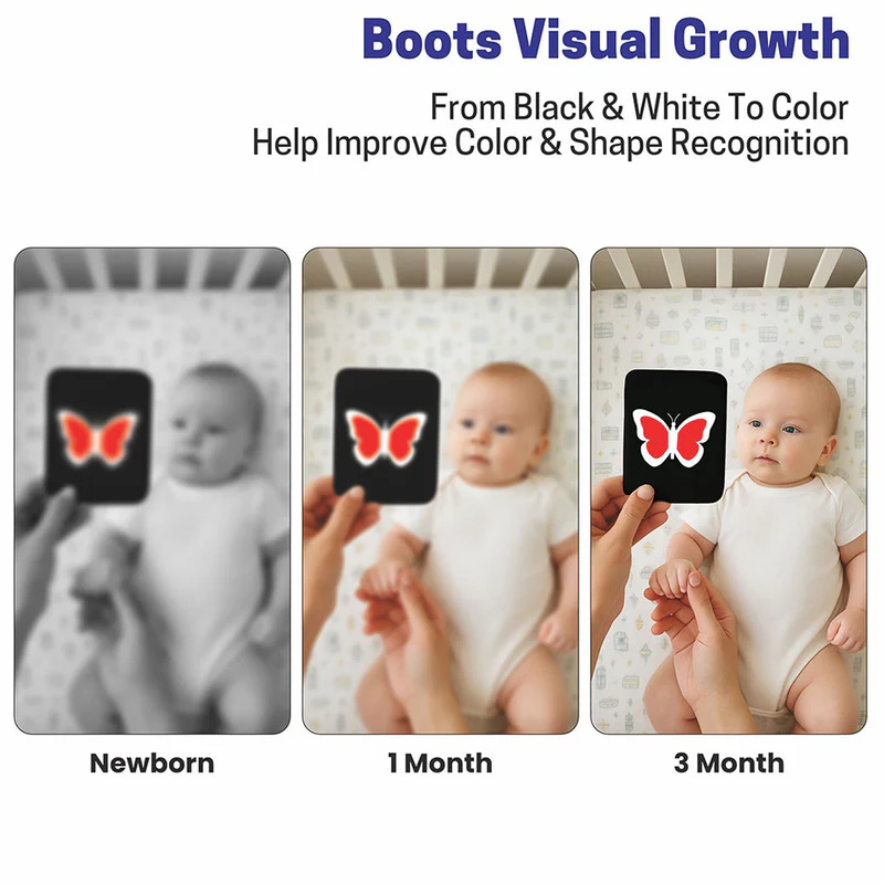 High Contrast Flash Cards for Babies - Shapes, Animals, Fruits, & More - Image 7