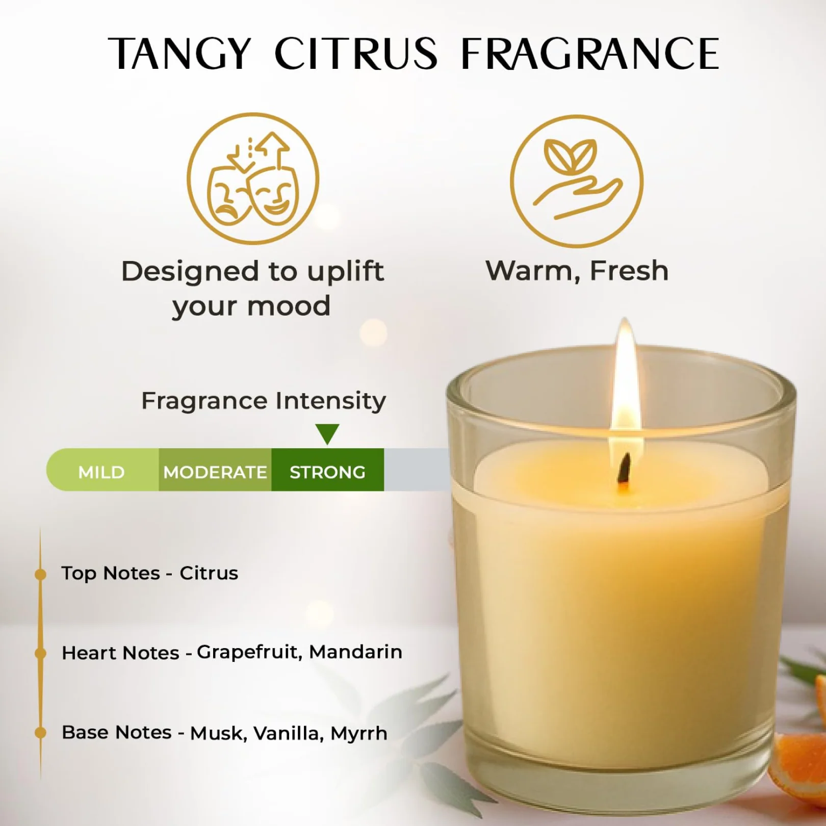 In'lief  Blueberry Soy-Blend Votive Candle Glass – 50 gm (1 Pc) - Image 2