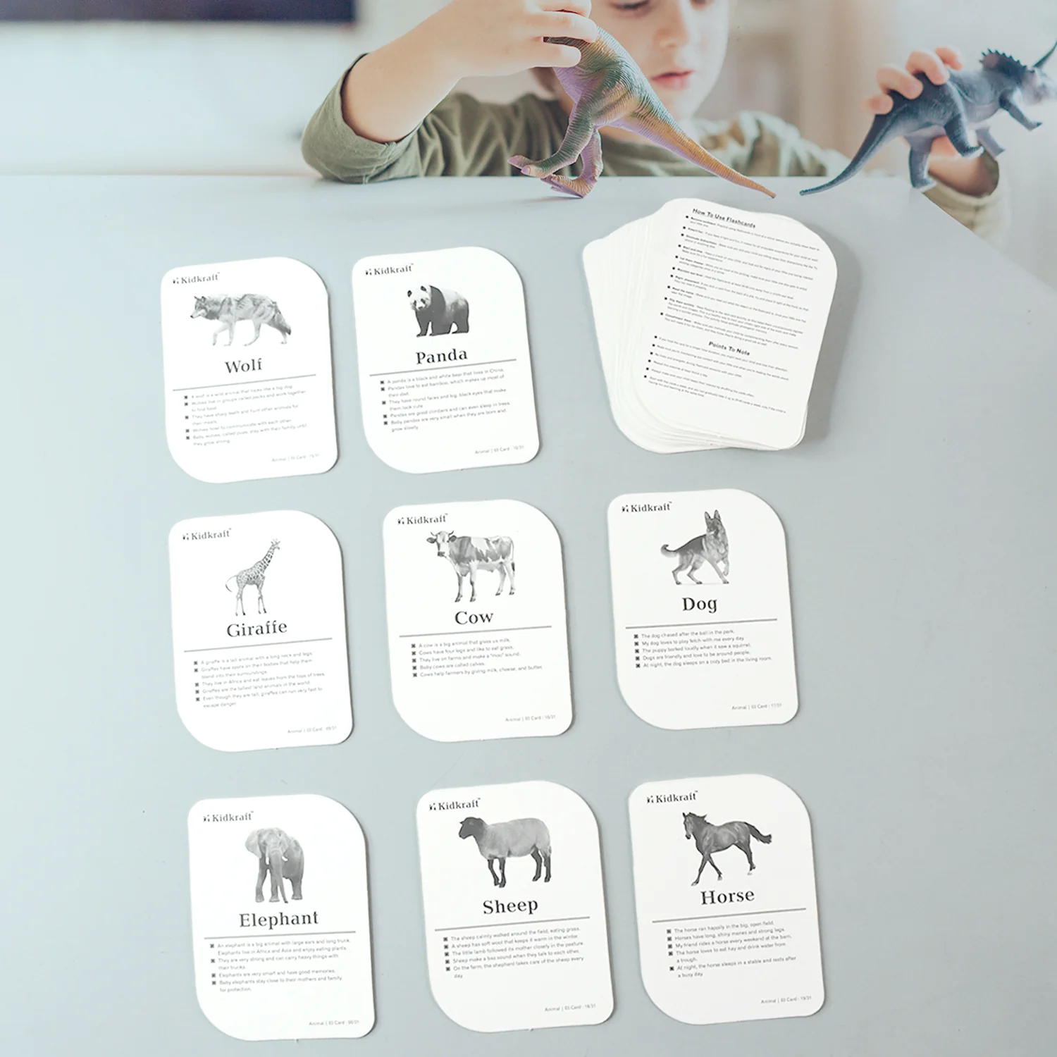 Kidkraft 32-Piece Animal Flash Cards Set - Image 4