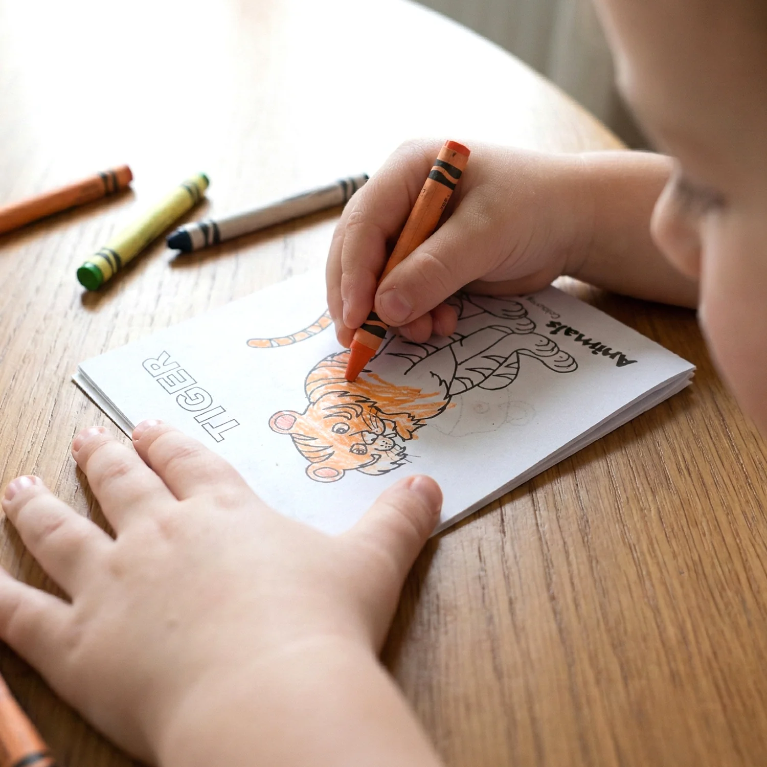 Kids Animal Theme Colouring Book Set ( 5 Pc / Mix Color Books) - Image 3