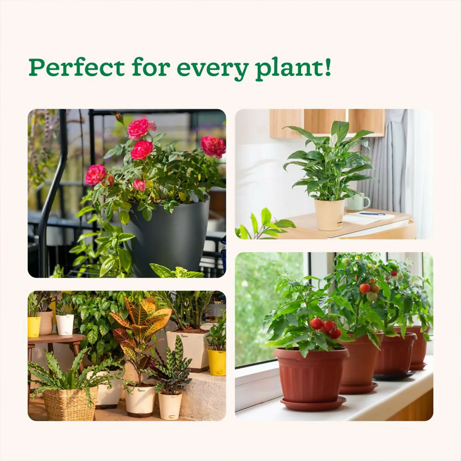 Kitchen Garden Growth Booster For Healthy & Vibrant Kitchen Garden (7g/10 Sachets) (70 g) - Image 2