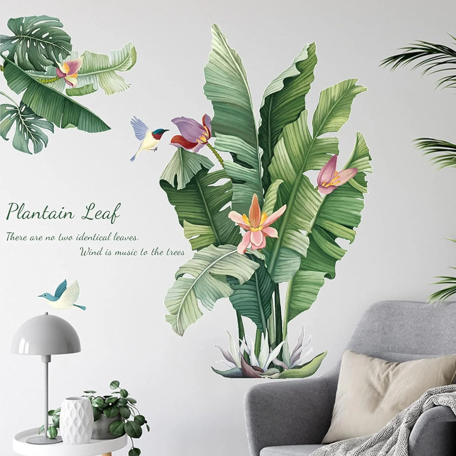 Large Plantain Leaf Wall Sticker 90x60 cm - (1 Pc) - Image 3