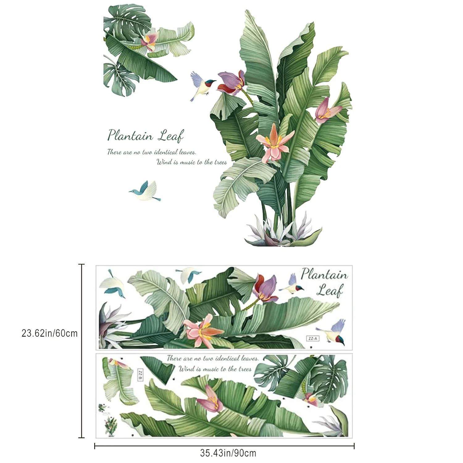 Large Plantain Leaf Wall Sticker 90x60 cm - (1 Pc) - Image 5