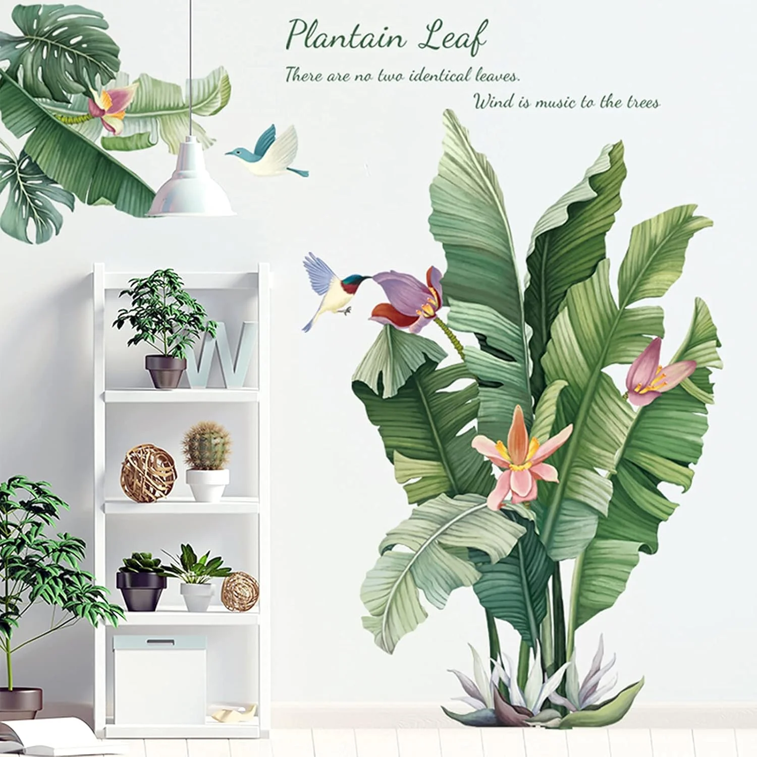 Large Plantain Leaf Wall Sticker 90x60 cm - (1 Pc) - Image 6