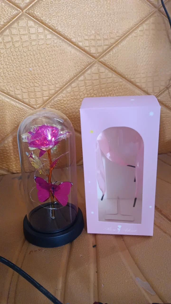 LED Decorative Rose with Butterfly in Transparent Plastic Dome (1 Pc) - Image 8