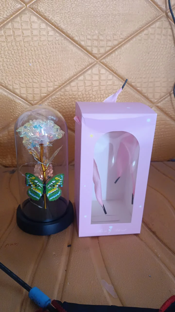 LED Light-Up Eternal Rose Butterfly in Transparent Dome (1 Pc / Battery not Included) - Image 7