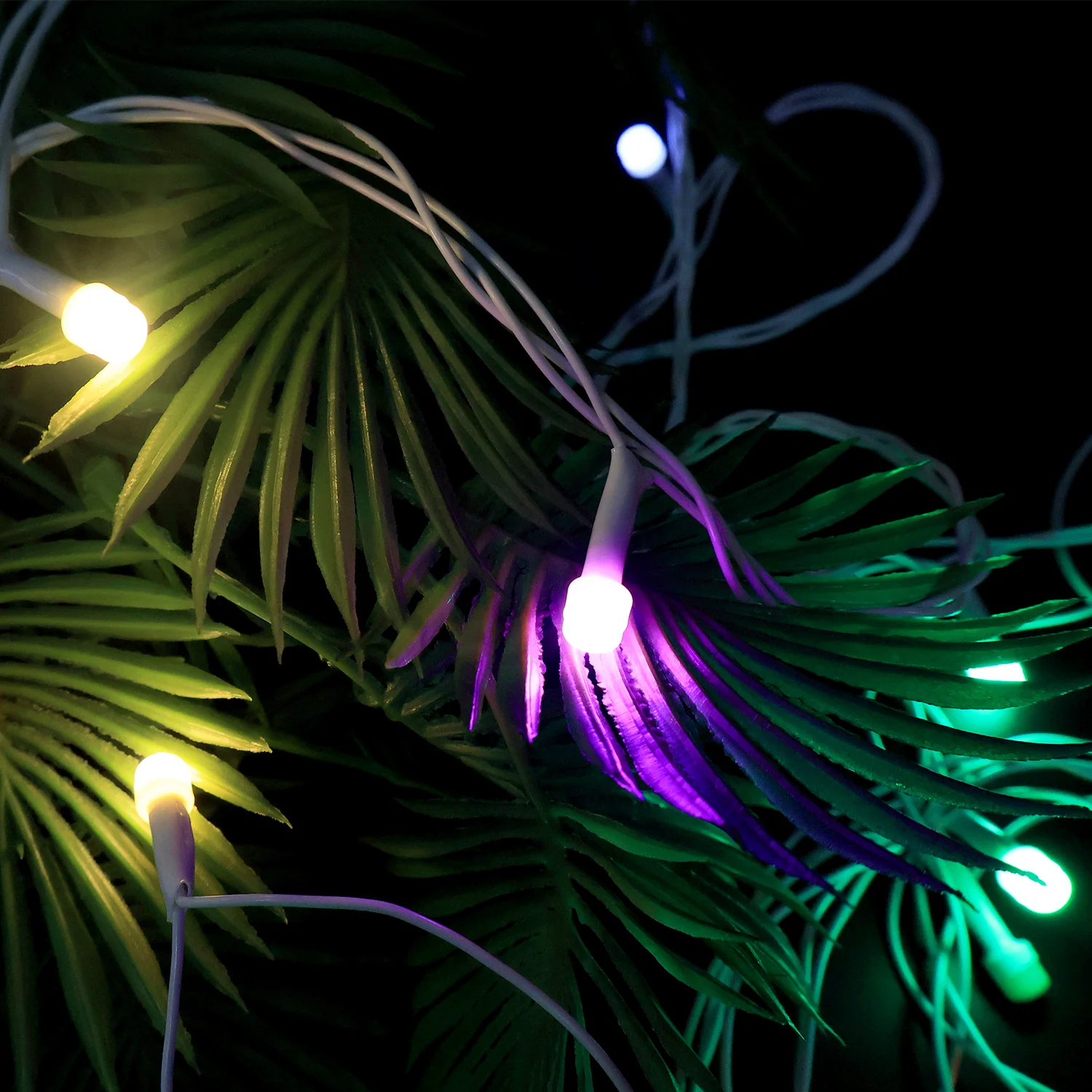 Multi-Color LED Decorative String Light (8 Meter) - Image 3