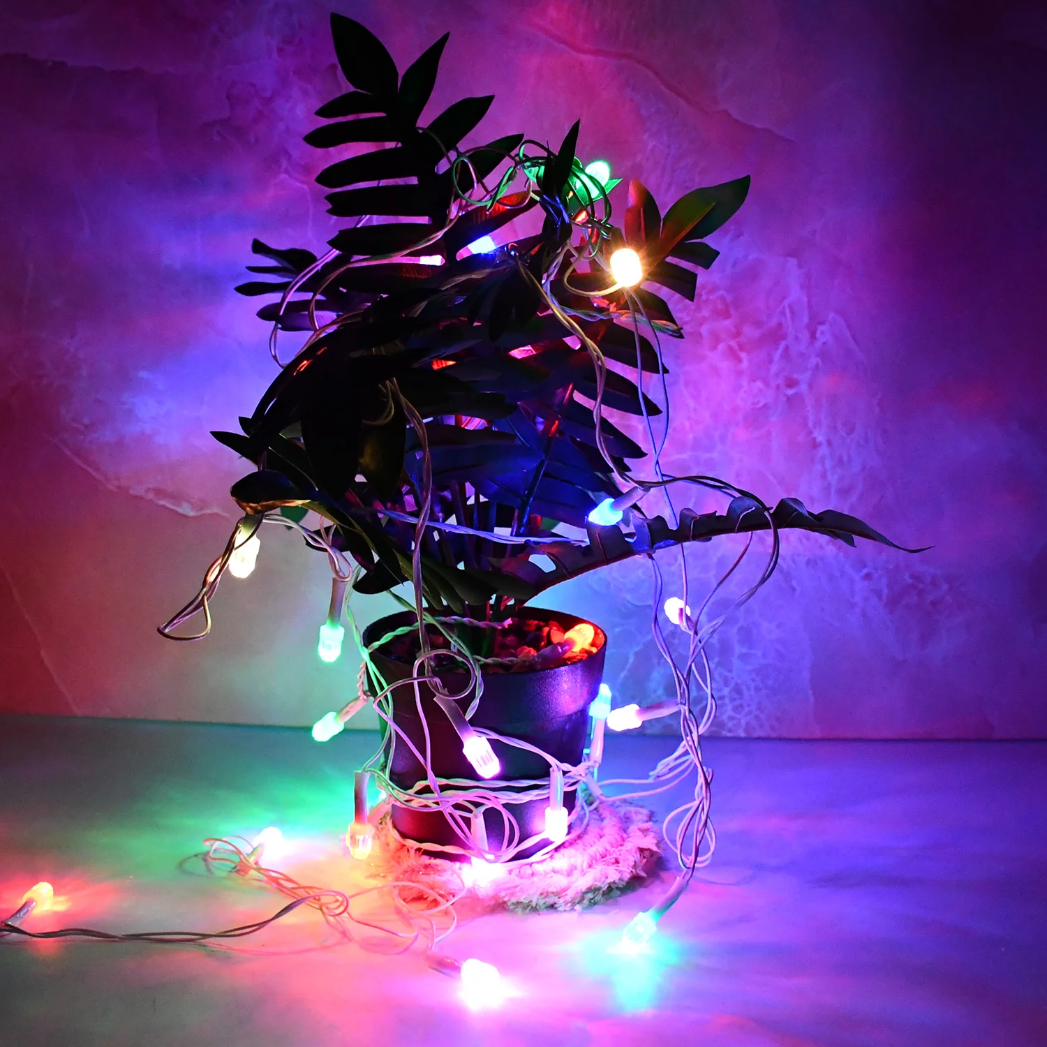 Multi-Color LED Decorative String Light (8 Meter) - Image 4
