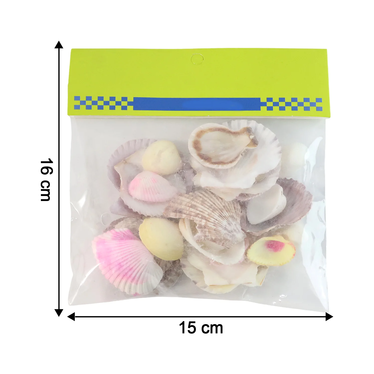 Natural Decorative Sea Shells Set (1 Set) - Image 6
