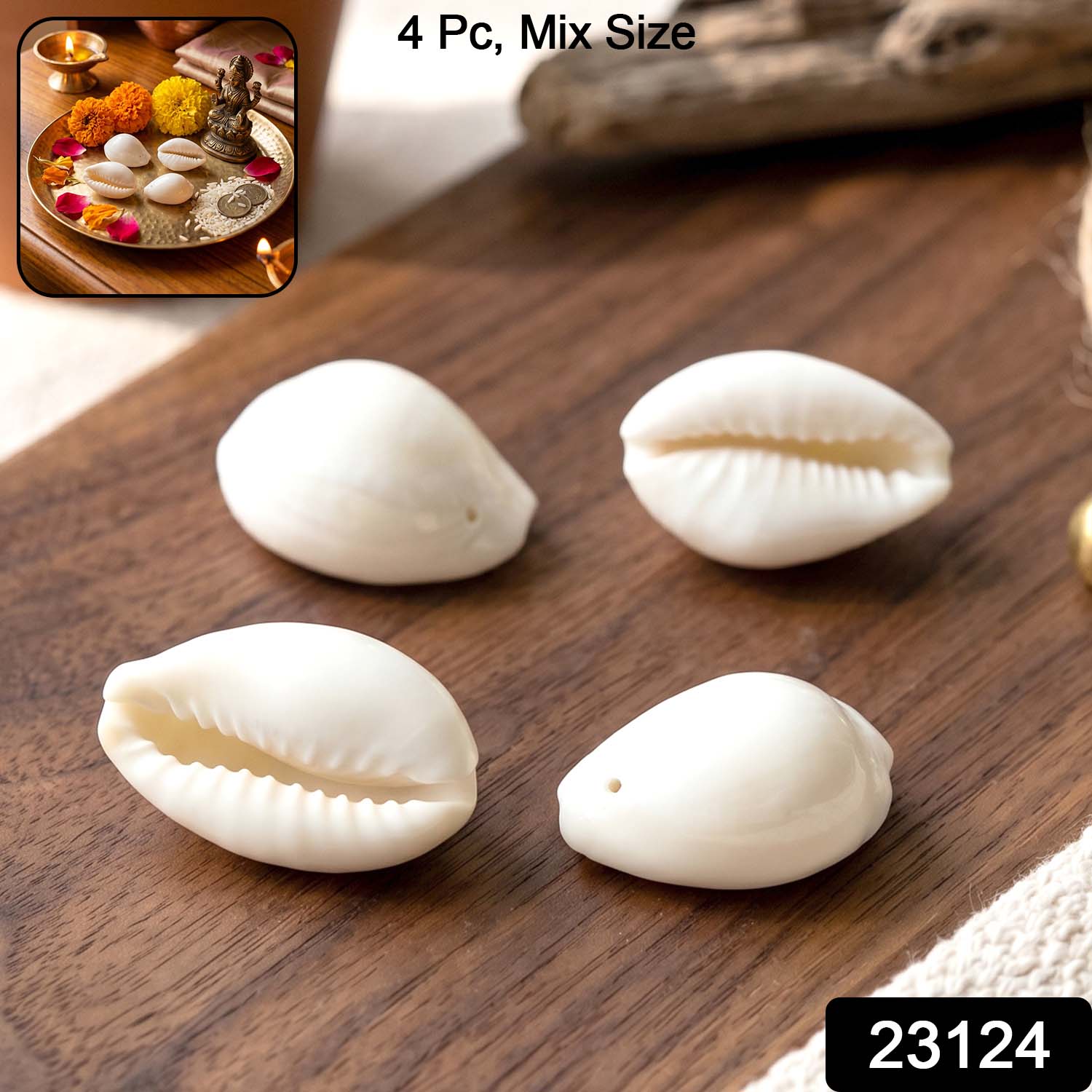 Natural Kaudi Cowrie Shells (4 Pc, Mix Size) - Image 2