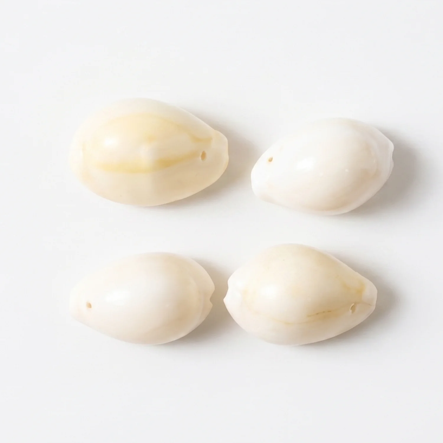 Natural Kaudi Cowrie Shells (4 Pc, Mix Size) - Image 4