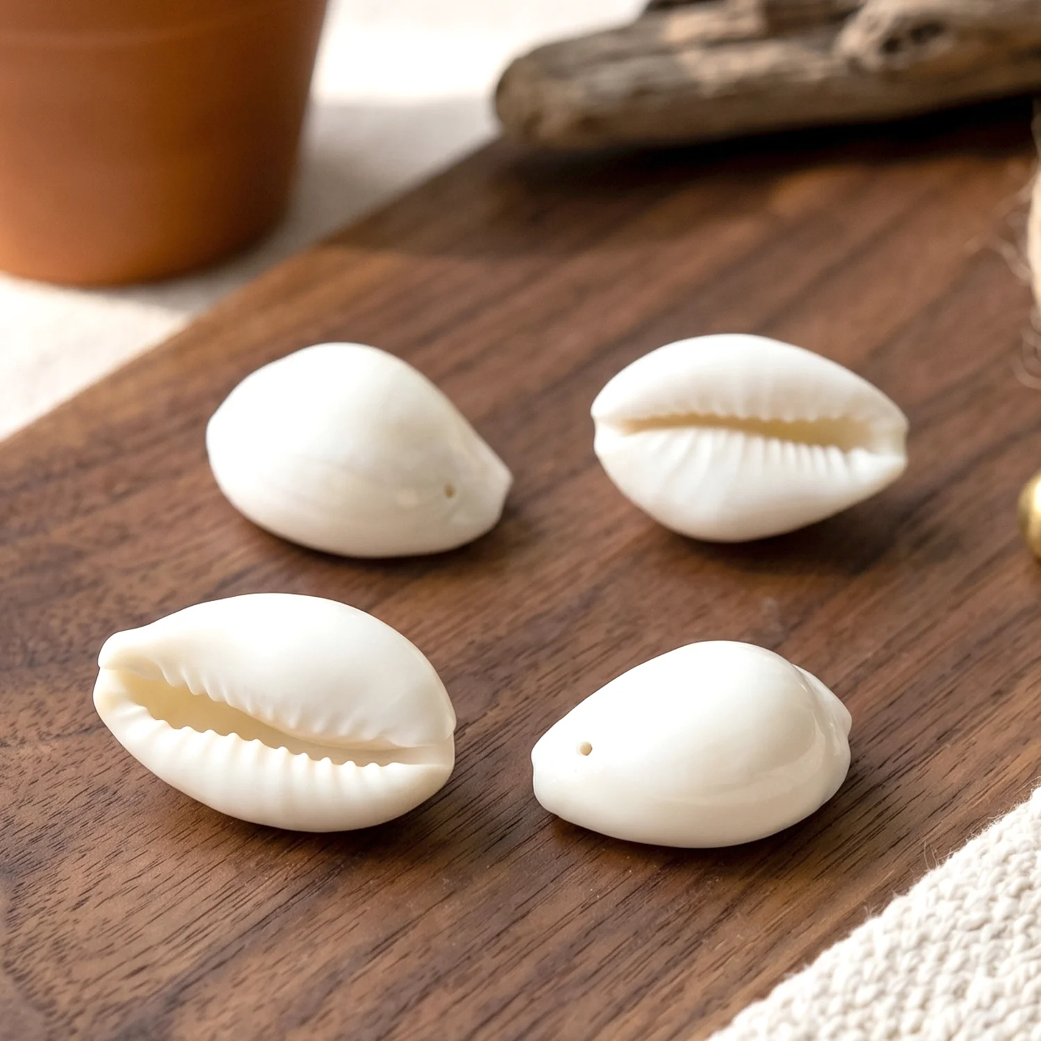 Natural Kaudi Cowrie Shells (4 Pc, Mix Size) - Image 8