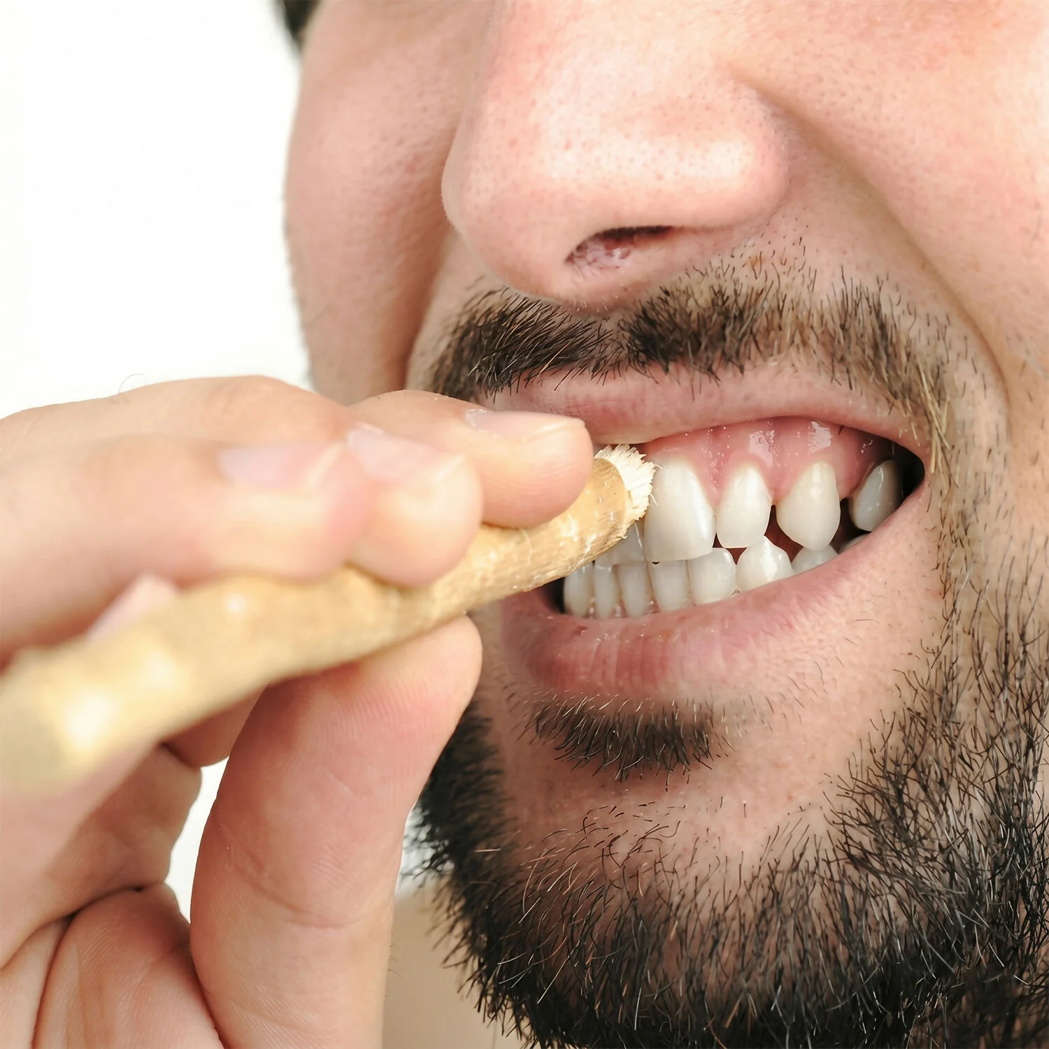 Natural Neem Wood Tooth Cleaning Sticks for Oral Care (10 Pc) - Image 2