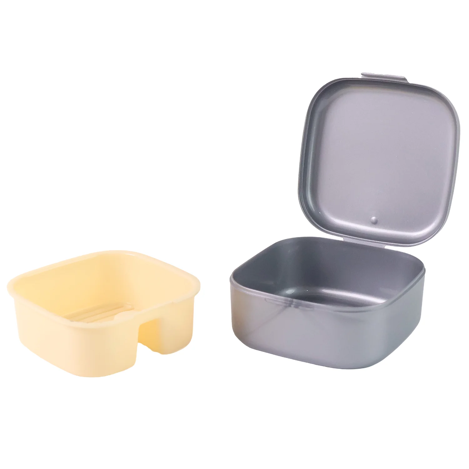 Oblivion Teeth Storage Box with Lid and Inner Tray, DENTURE CASE (1 Pc) - Image 5