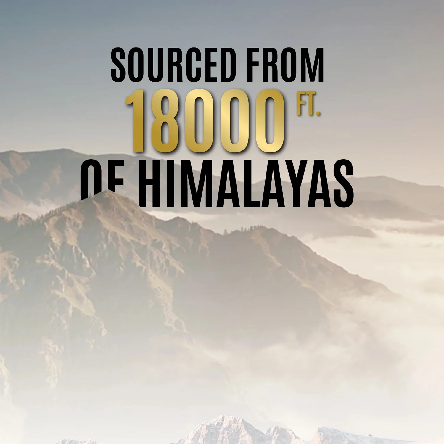 OG Wellness Pure Himalayan Shilajit Resin (20 GM / 1 Pc) - Image 3