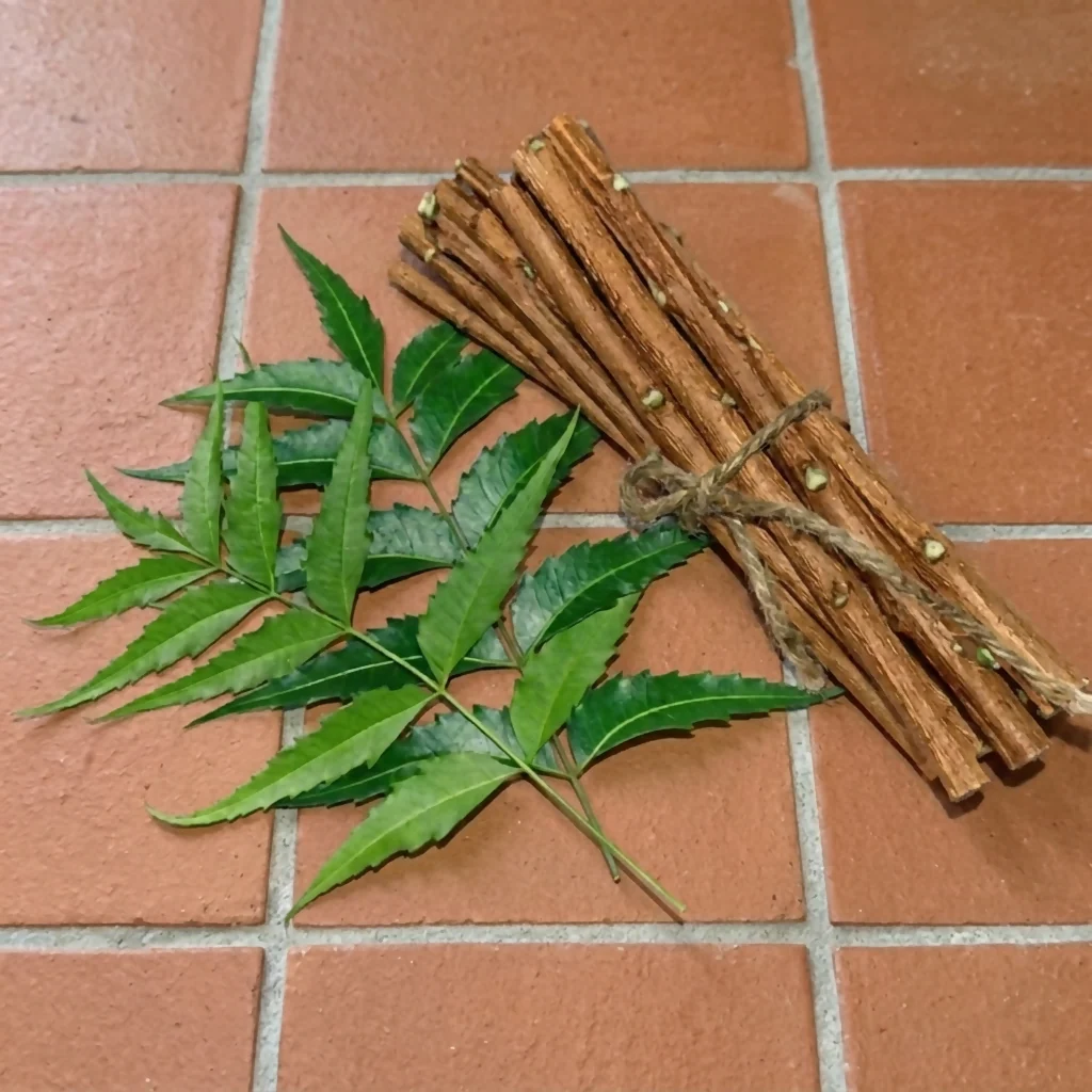 Organic Fresh Neem Datun Sticks Natural Herbal Toothbrush 12 pcs - Image 5
