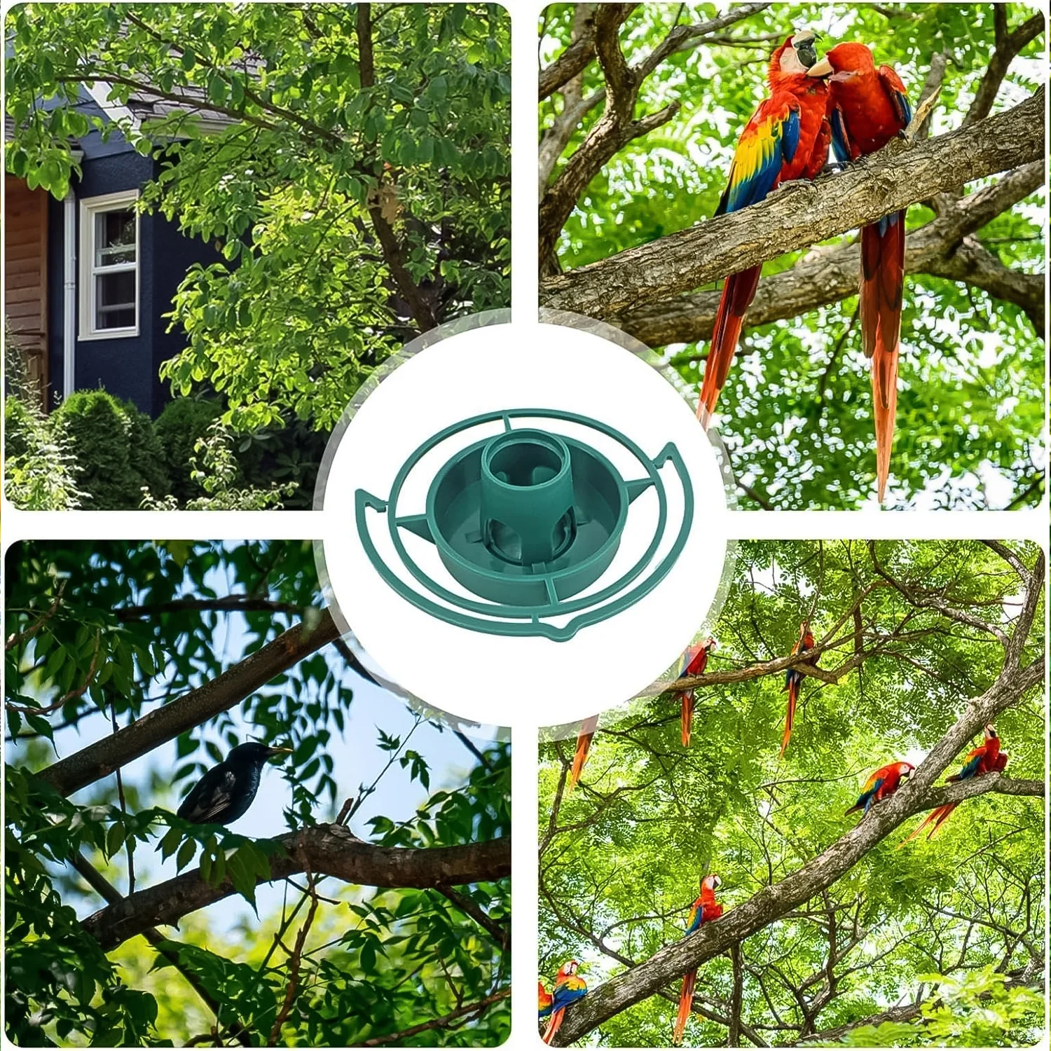 Outdoor Bird Feeder Hanging Plastic Hook (1 Pc) - Image 6