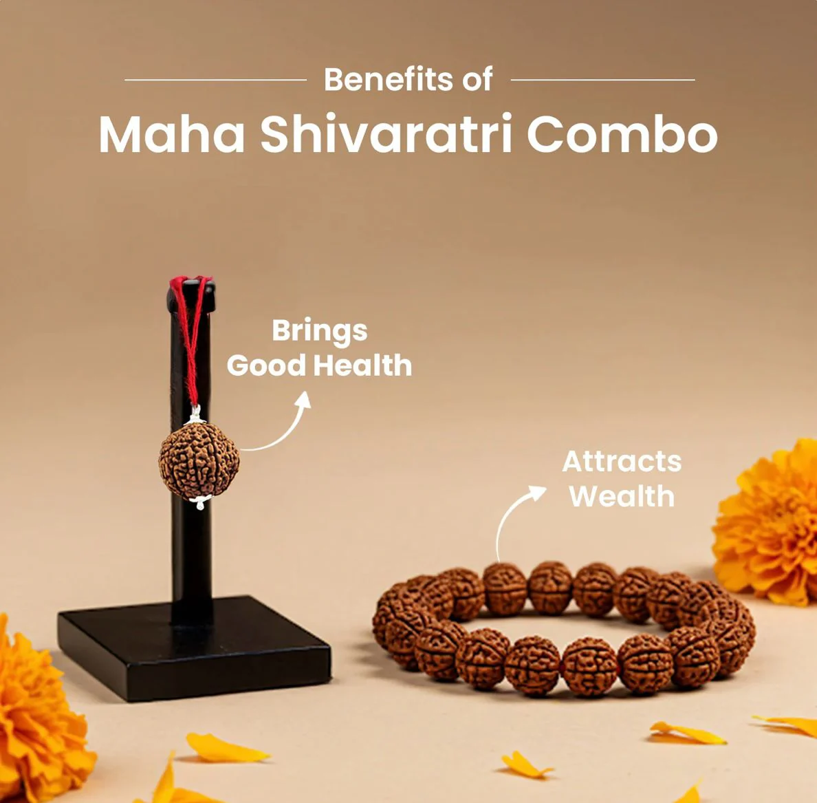 PanchMukhi Rudraksh and PanchMukhi Rudraksha Bracelet - Image 2